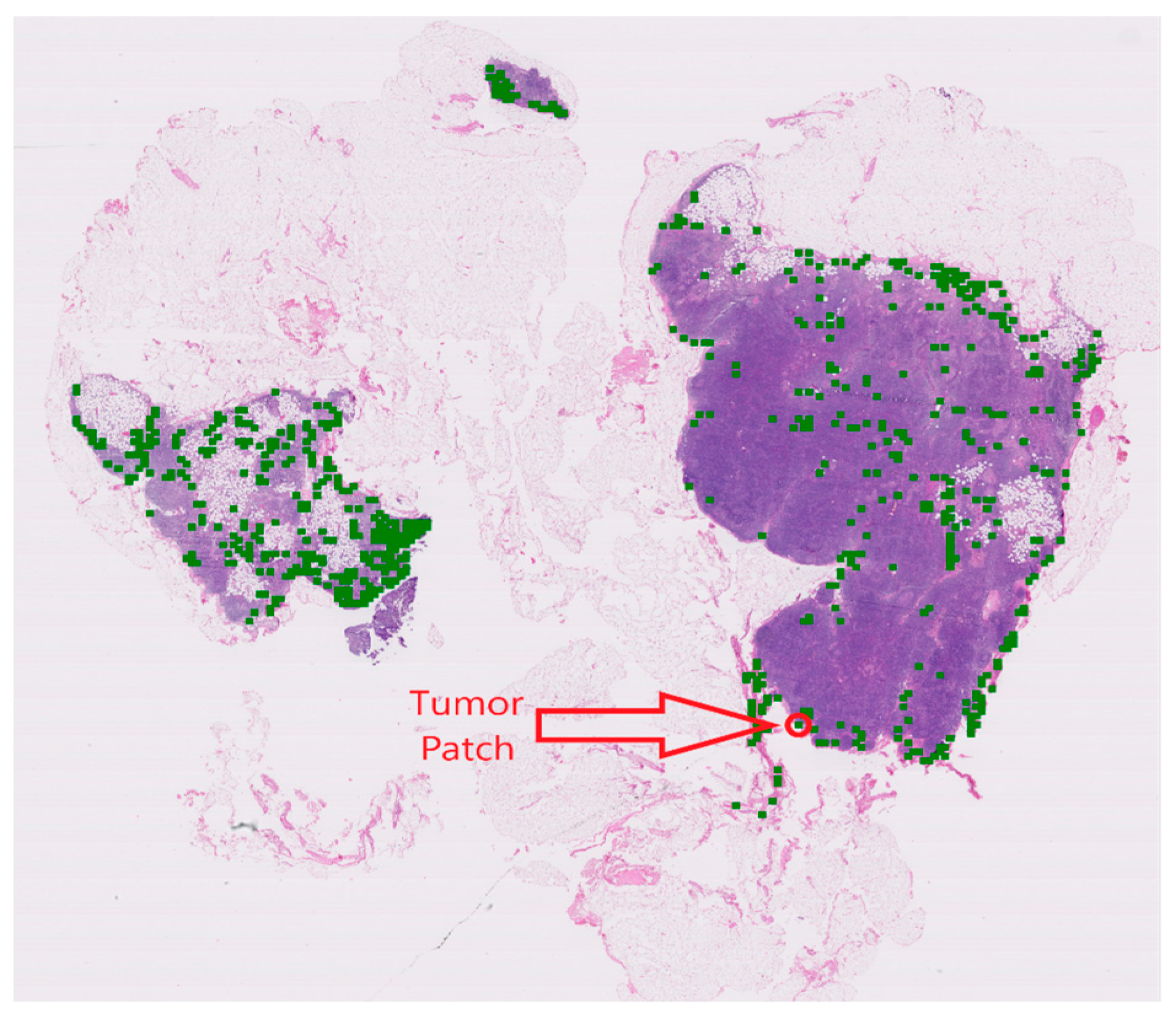 Cancers 15 03428 g005