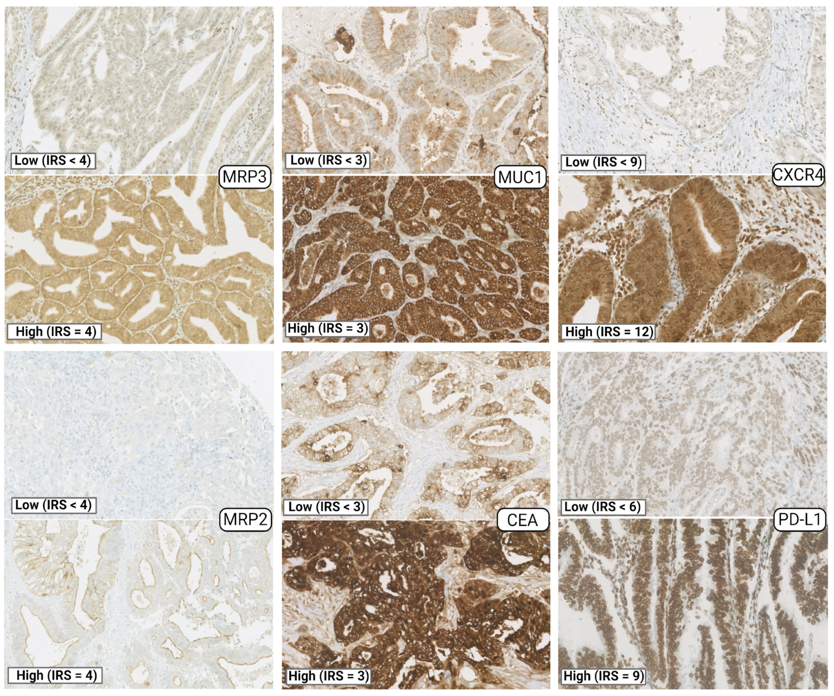 Cancers 15 03440 g002