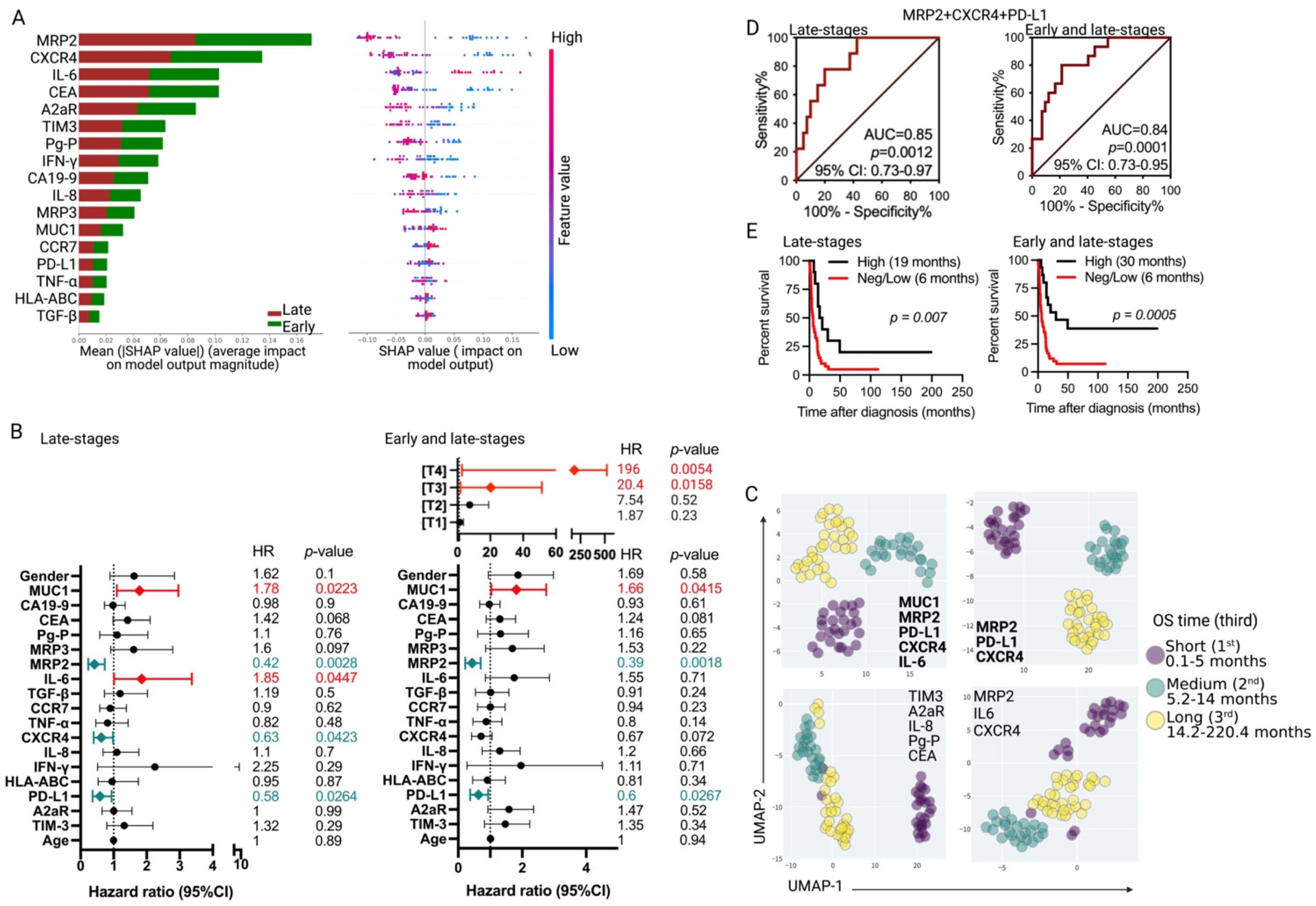 Cancers 15 03440 g004