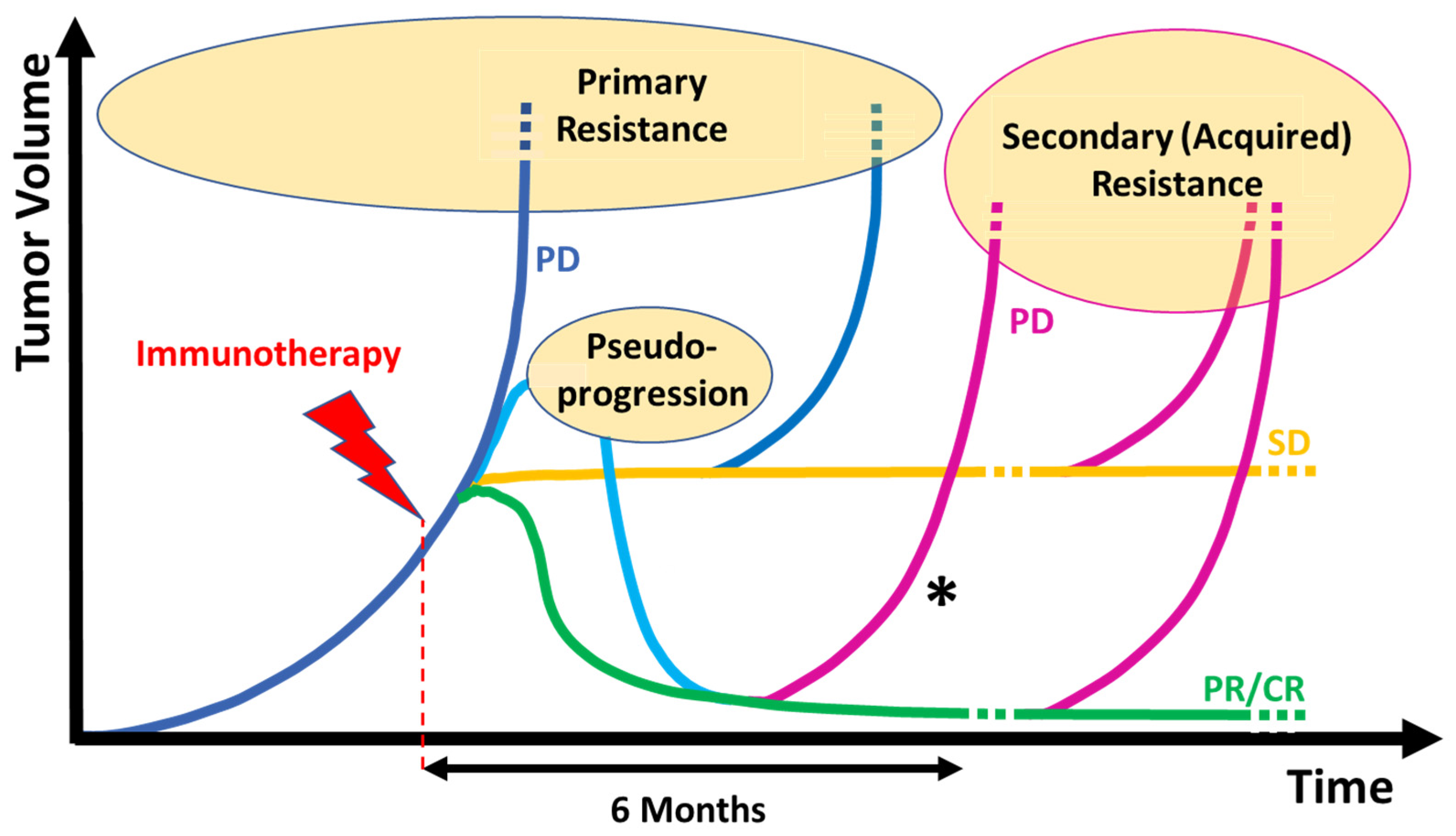 Cancers 15 03448 g001 Cancers 15 03448 g001