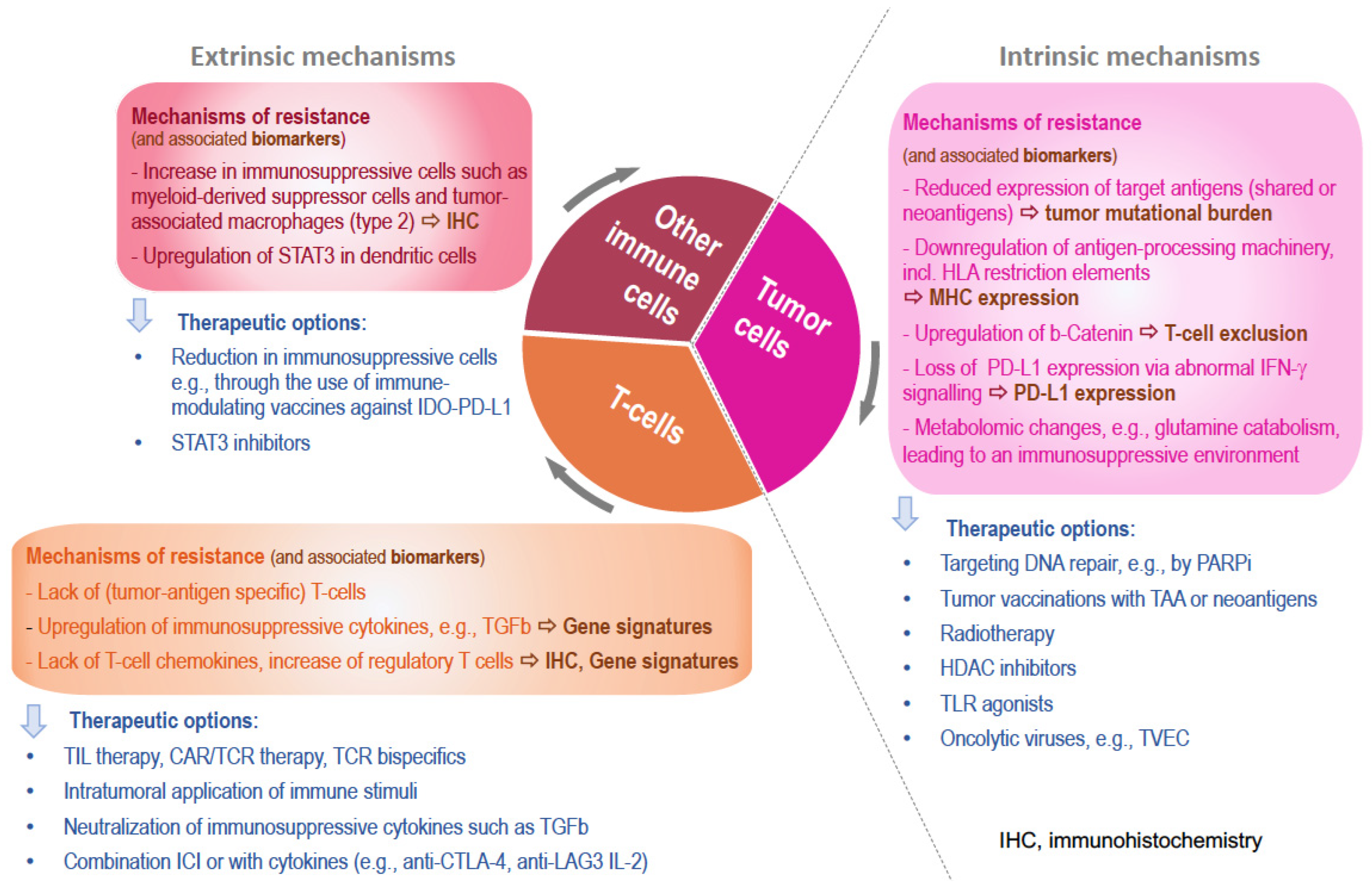 Cancers 15 03448 g003 Cancers 15 03448 g003