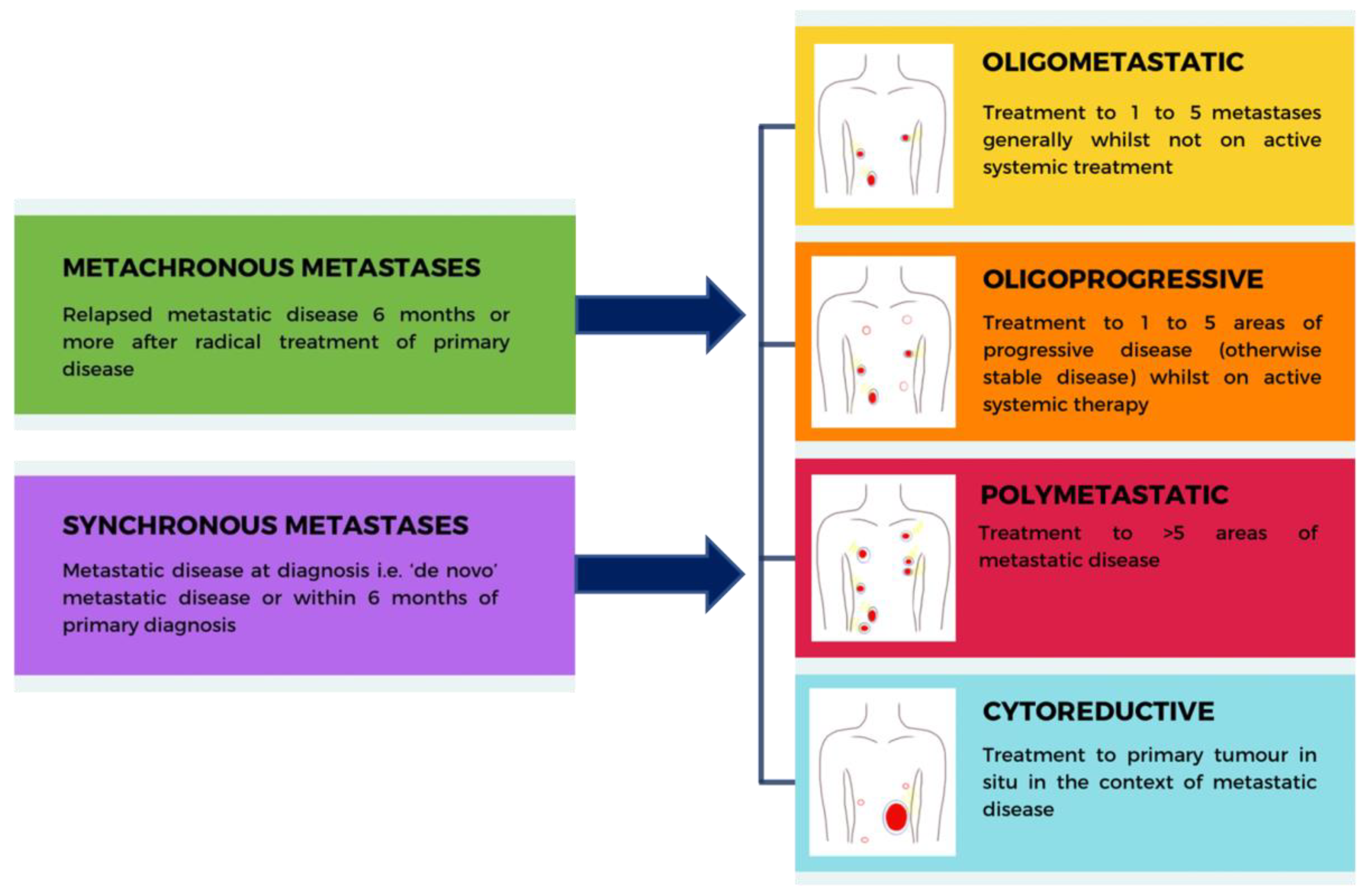 Cancers 15 03455 g001