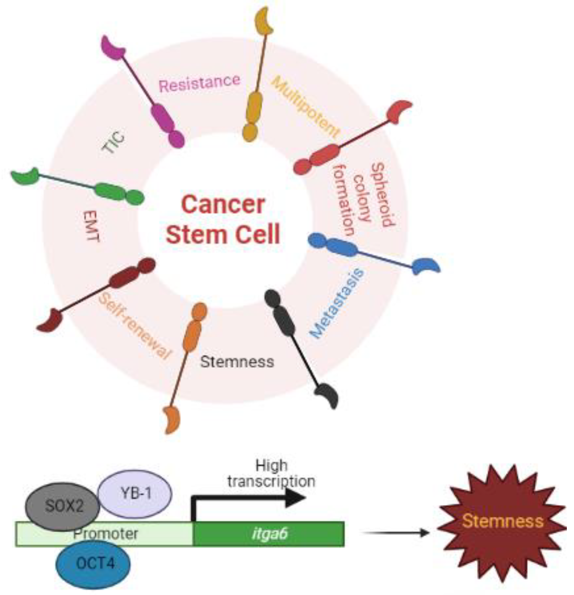 Cancers 15 03466 g003 Cancers 15 03466 g003