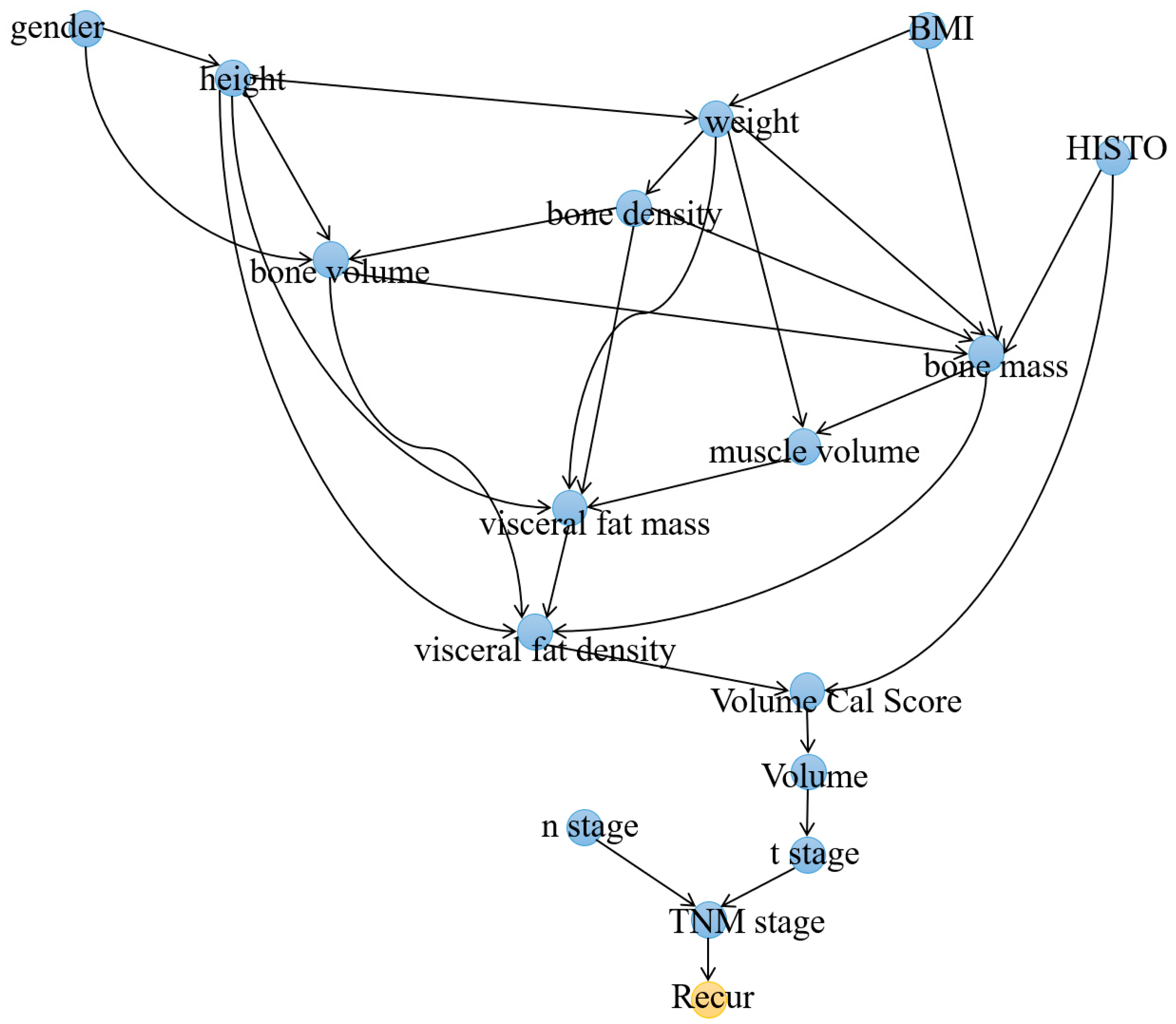 Cancers 15 03472 g004