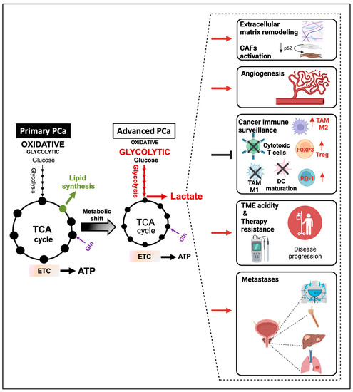 Cancers 15 03473 g003