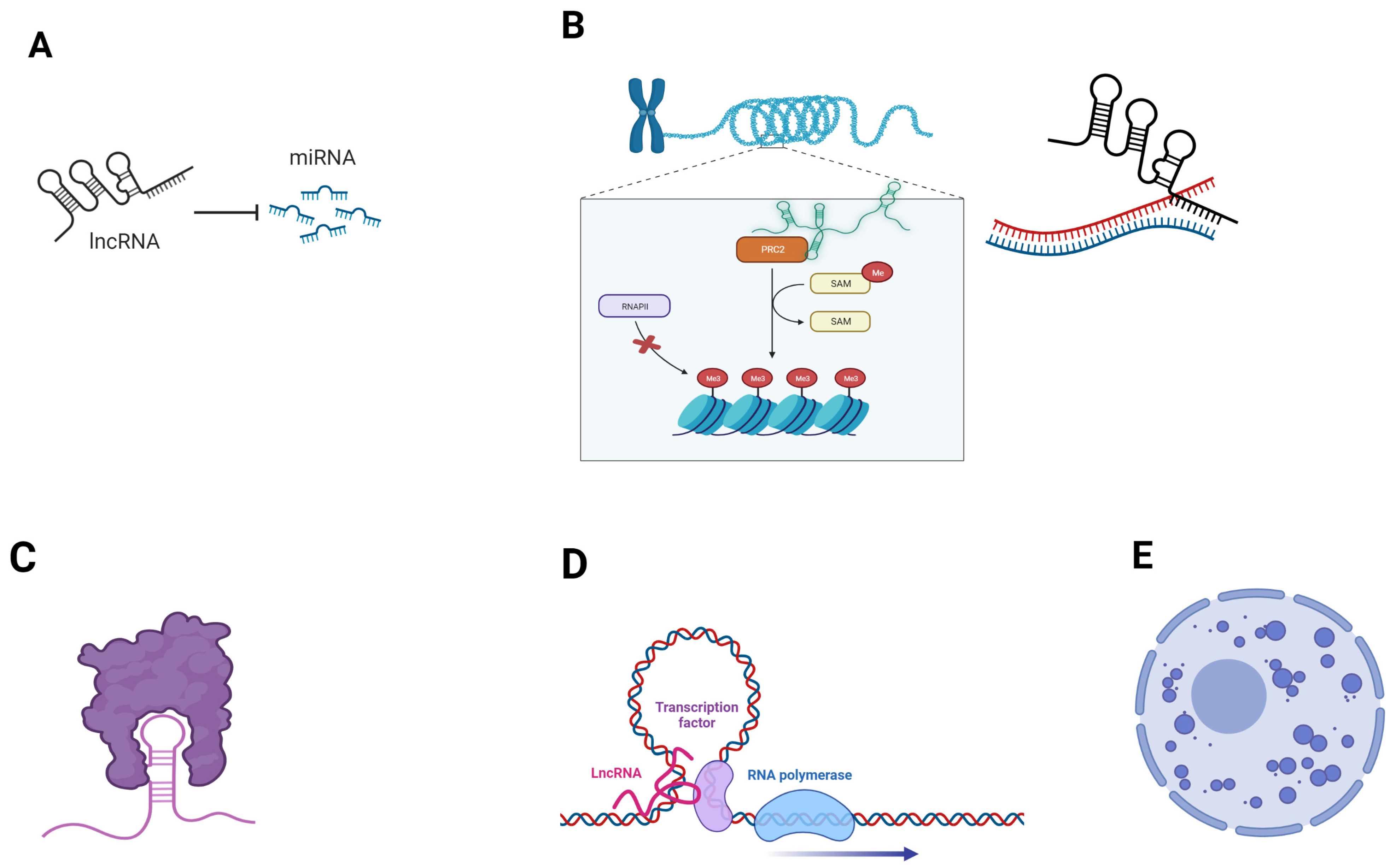 Cancers 15 03486 g001