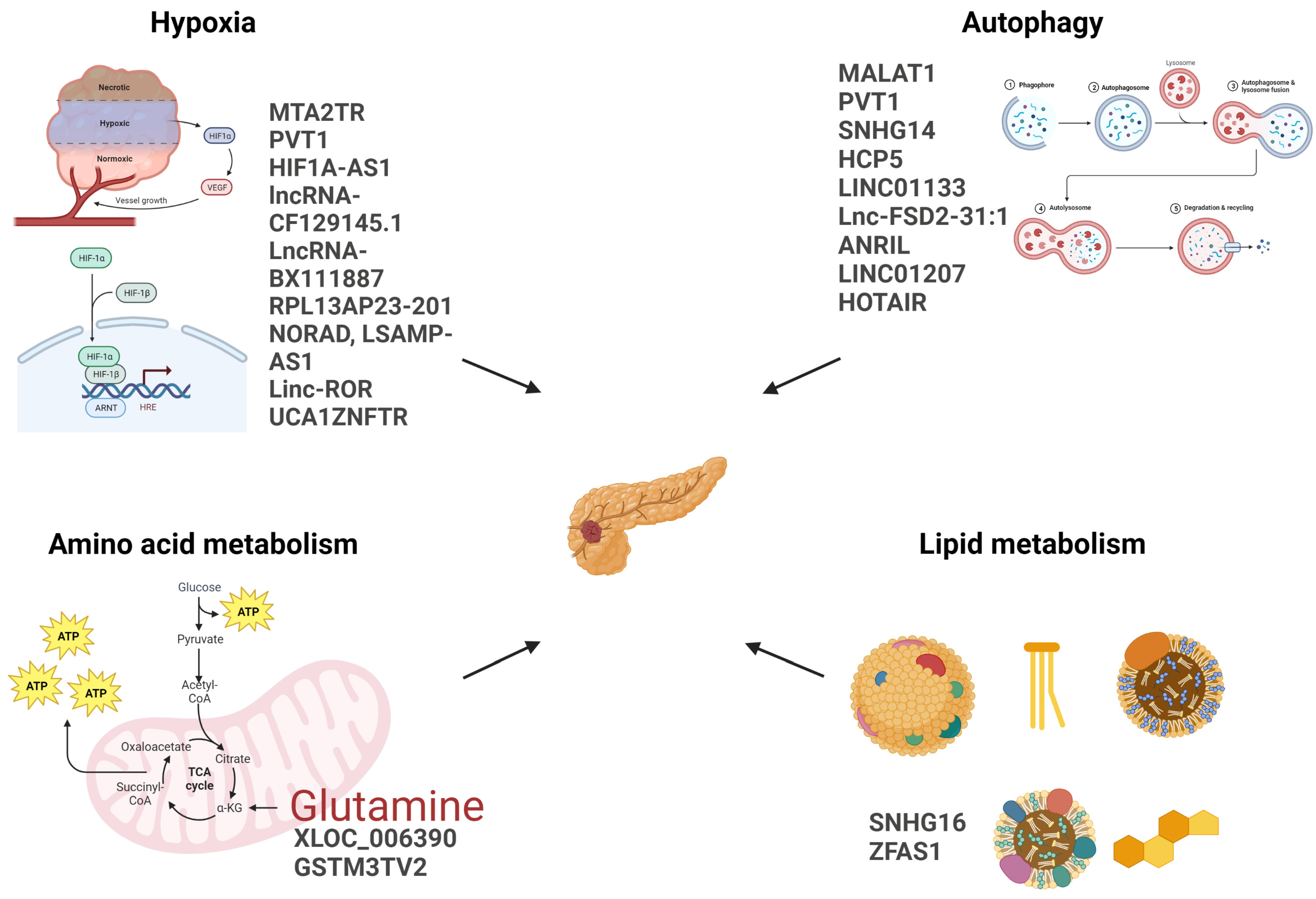 Cancers 15 03486 g002
