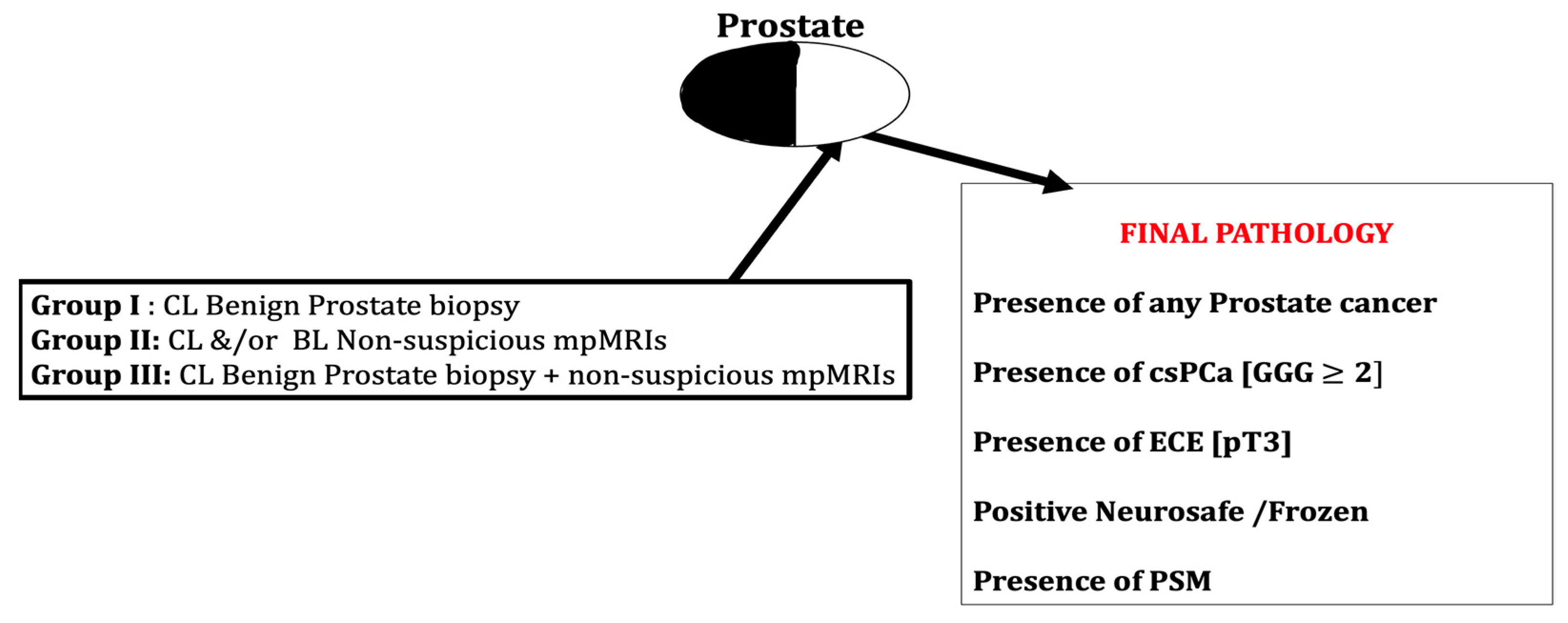 Cancers 15 03487 g003