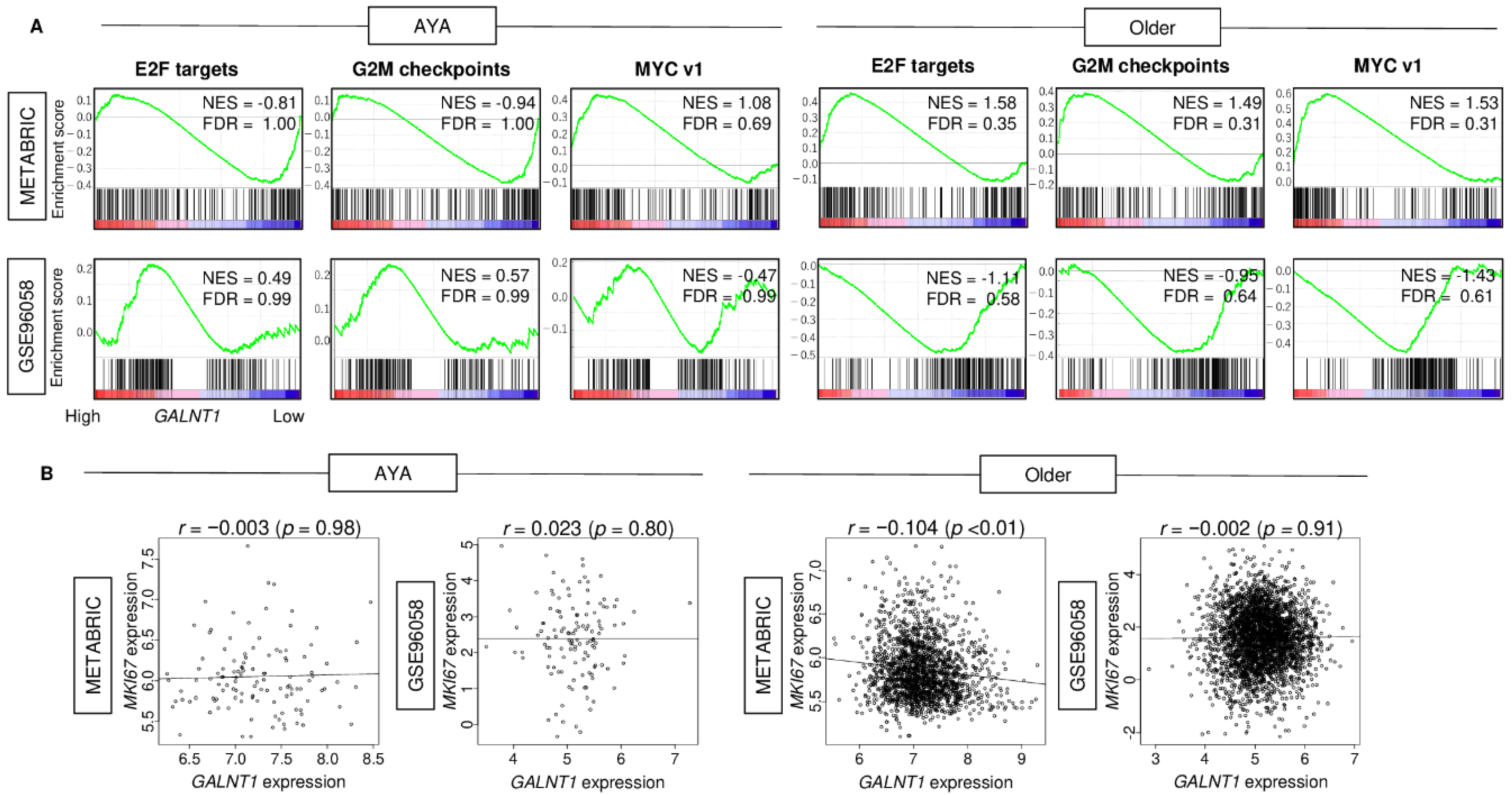 Cancers 15 03489 g004