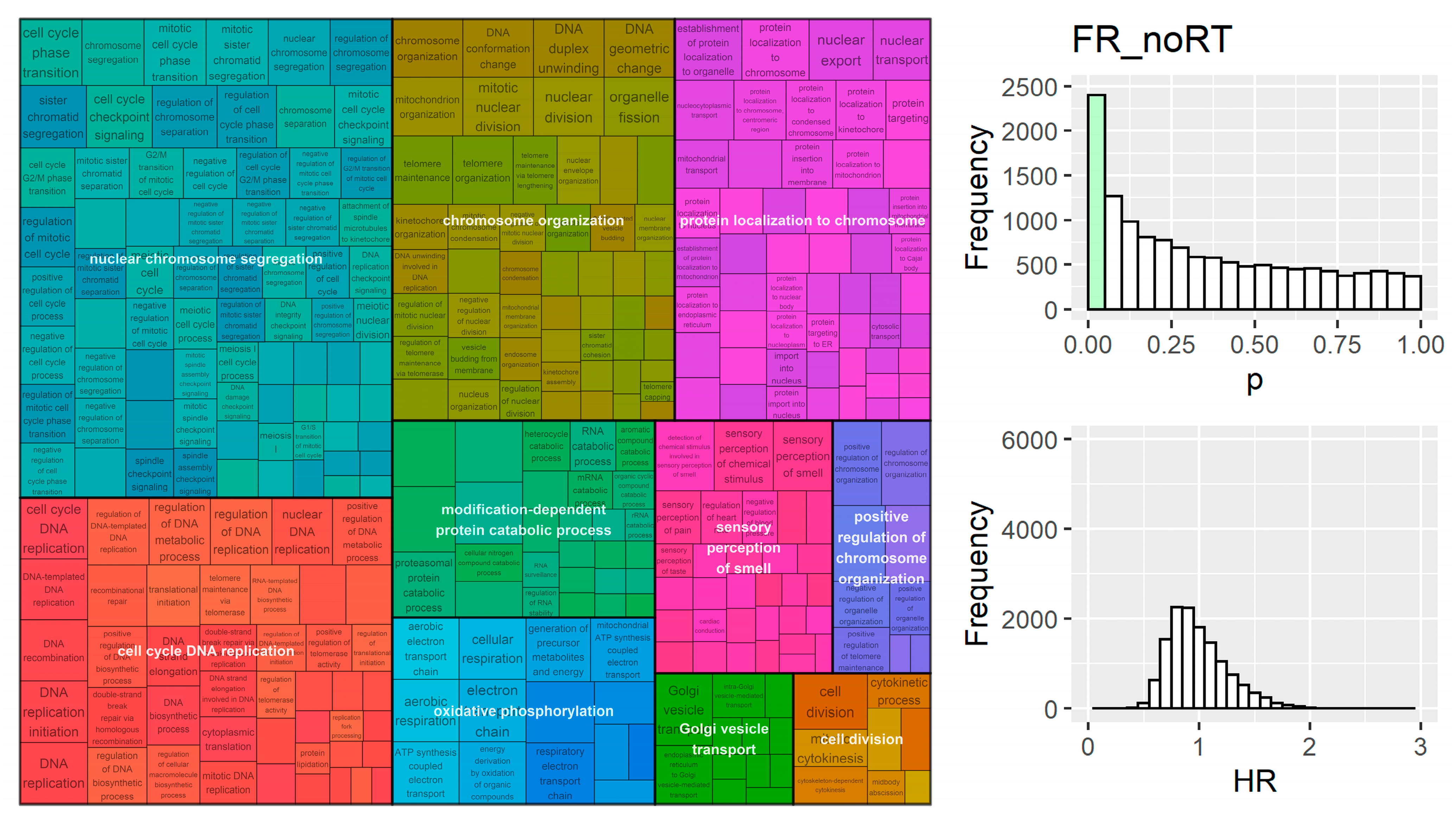 Cancers 15 03504 g004 Cancers 15 03504 g004