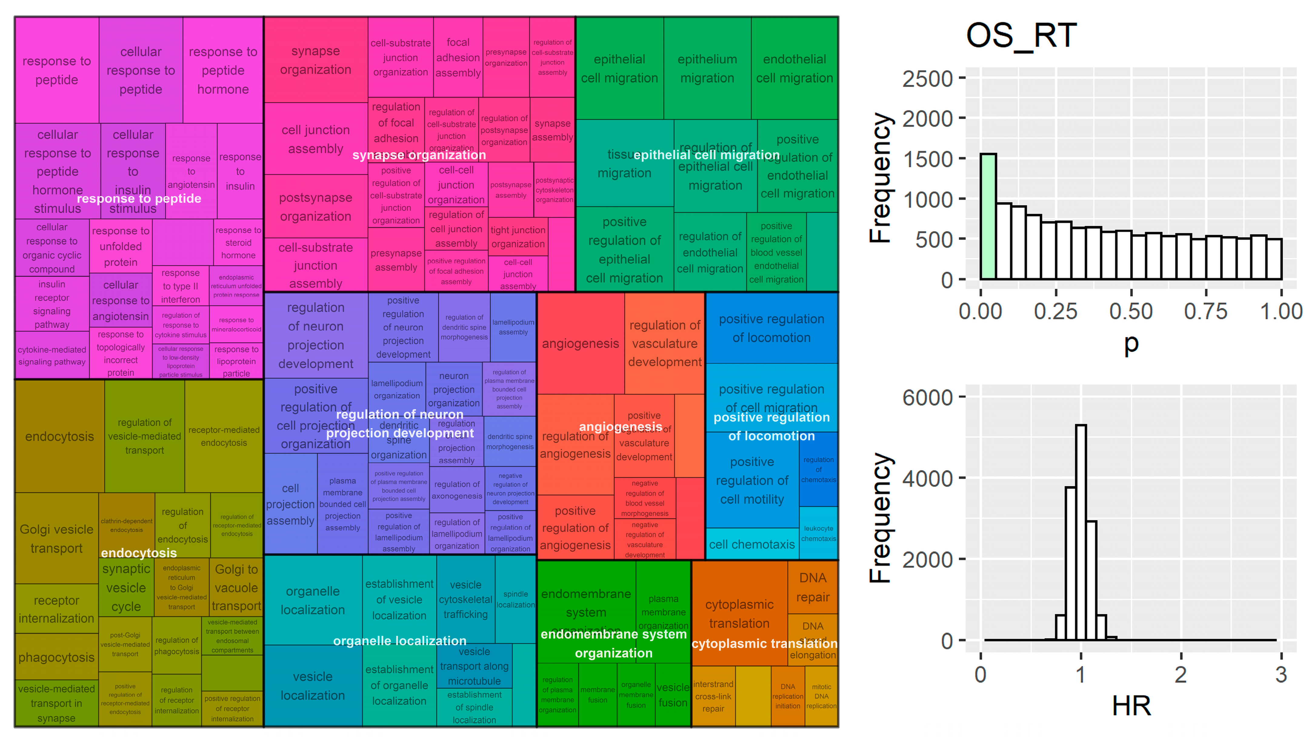 Cancers 15 03504 g007 Cancers 15 03504 g007