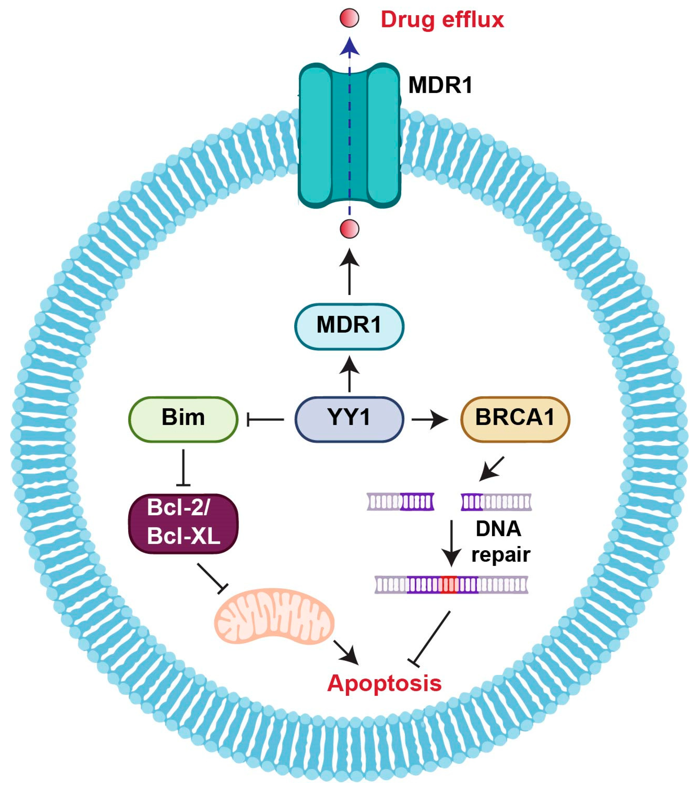 Cancers 15 03506 g001