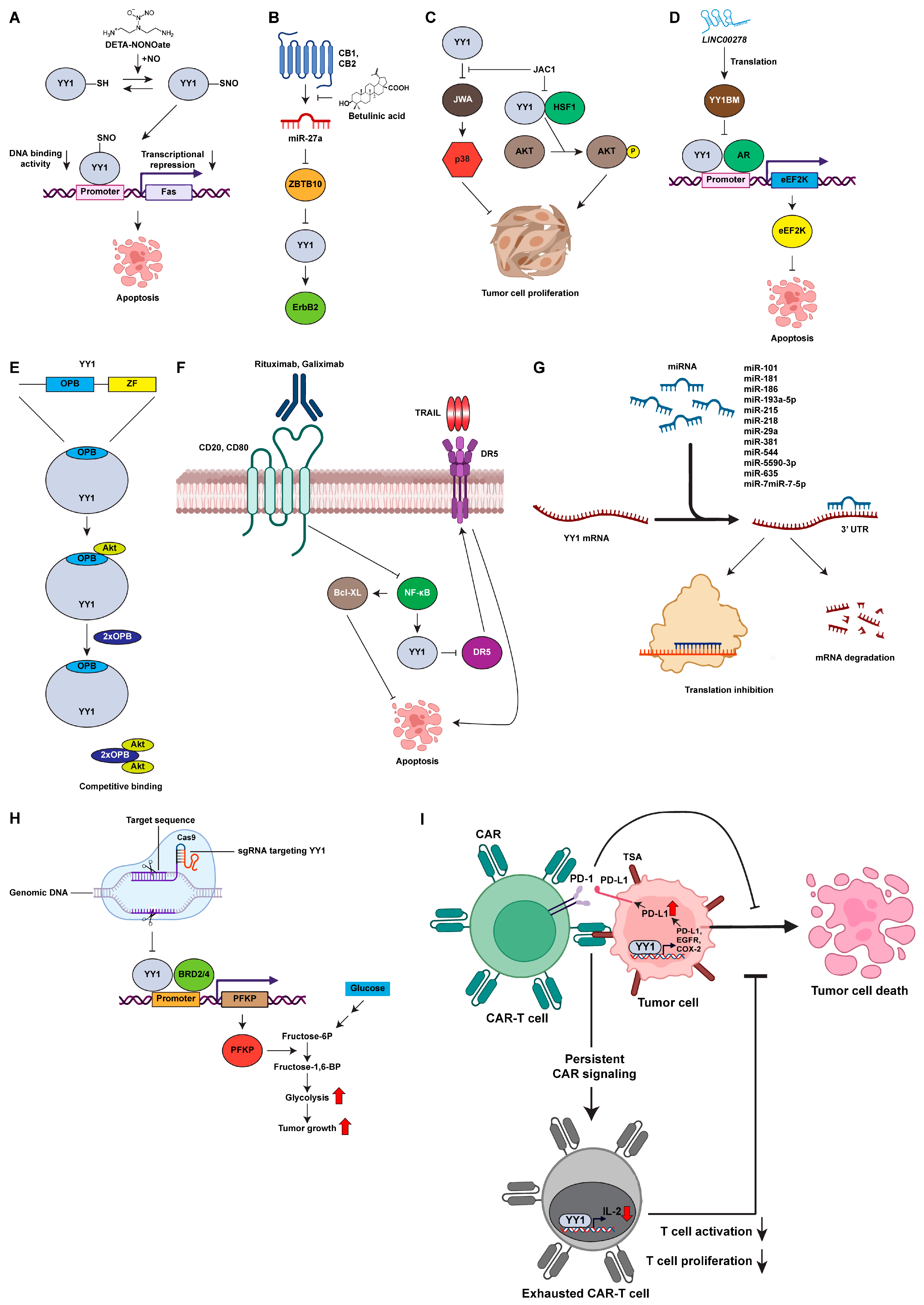Cancers 15 03506 g002