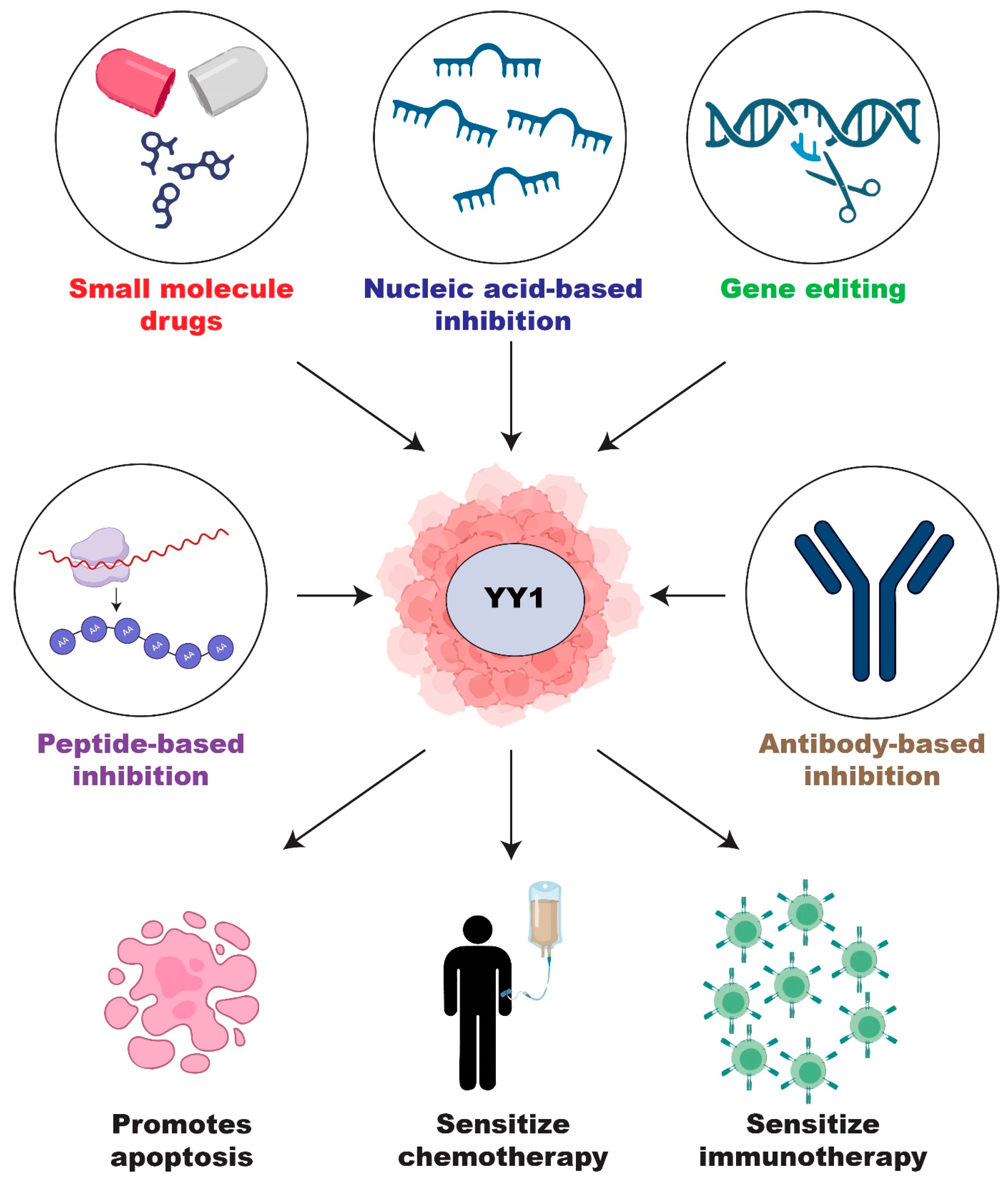 Cancers 15 03506 g003