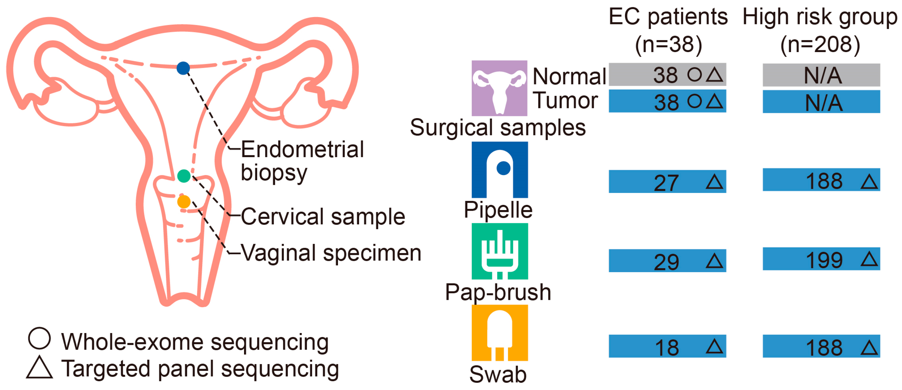 Cancers 15 03522 g001 Cancers 15 03522 g001