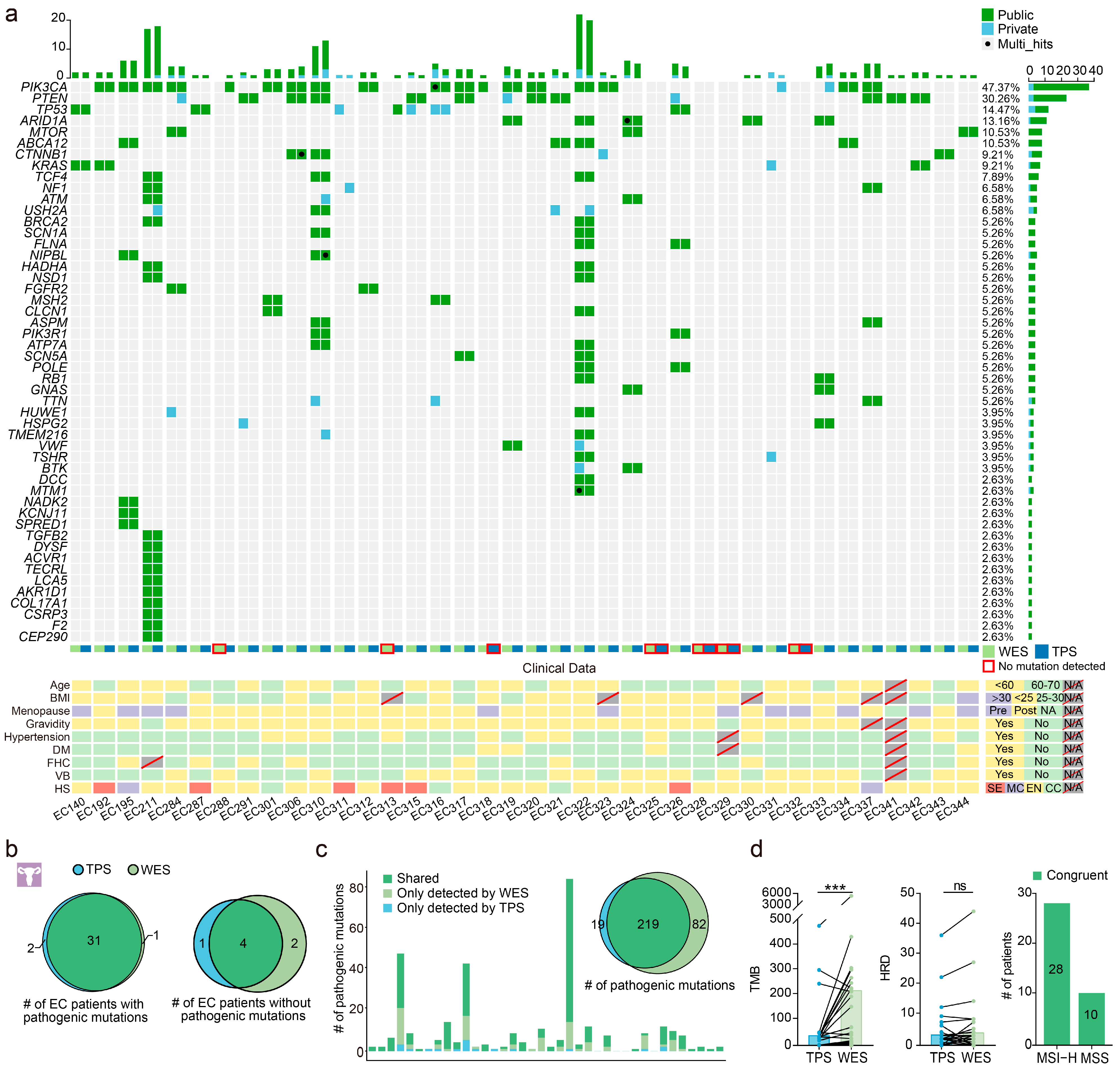 Cancers 15 03522 g002 Cancers 15 03522 g002