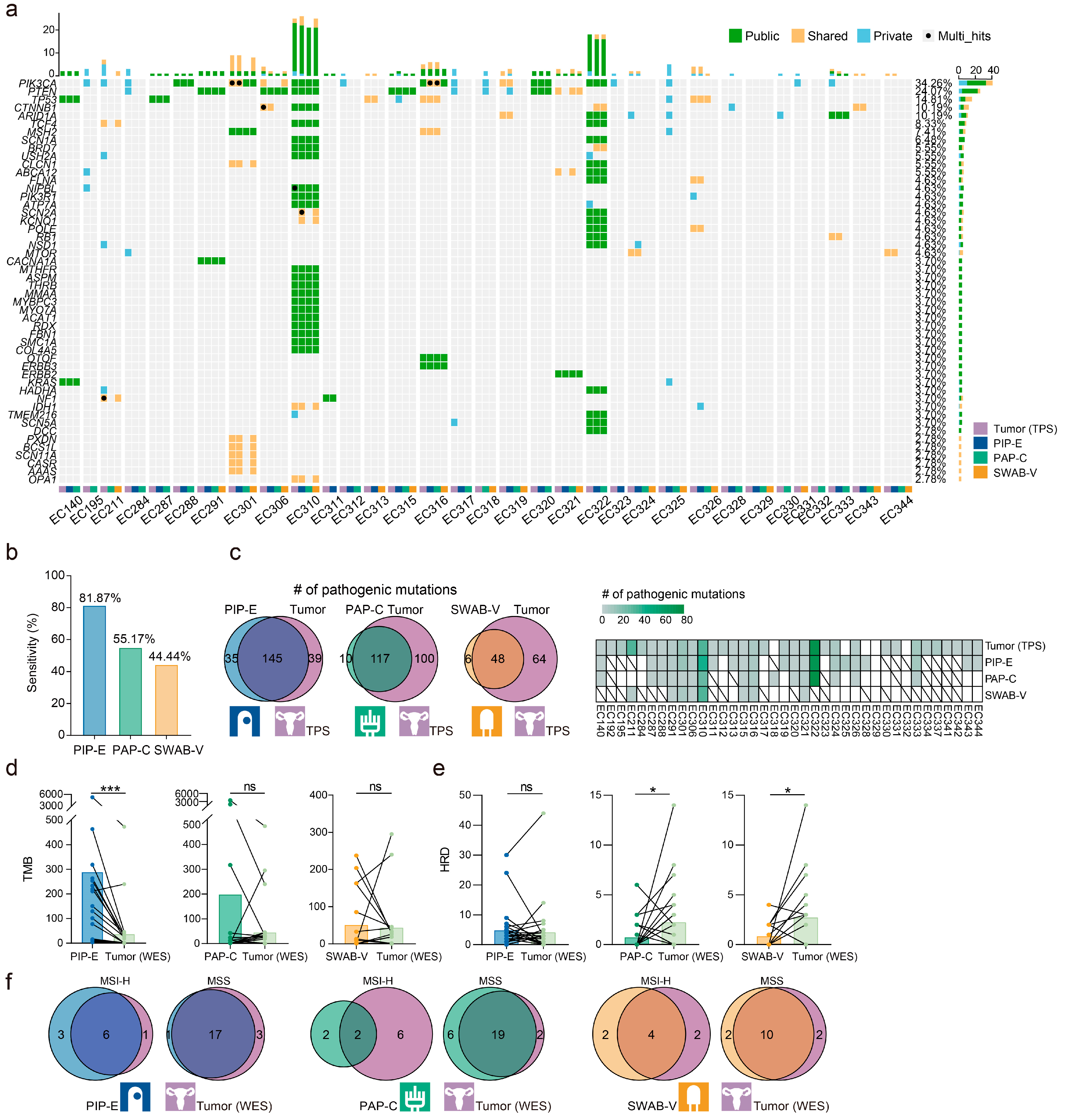 Cancers 15 03522 g004 Cancers 15 03522 g004
