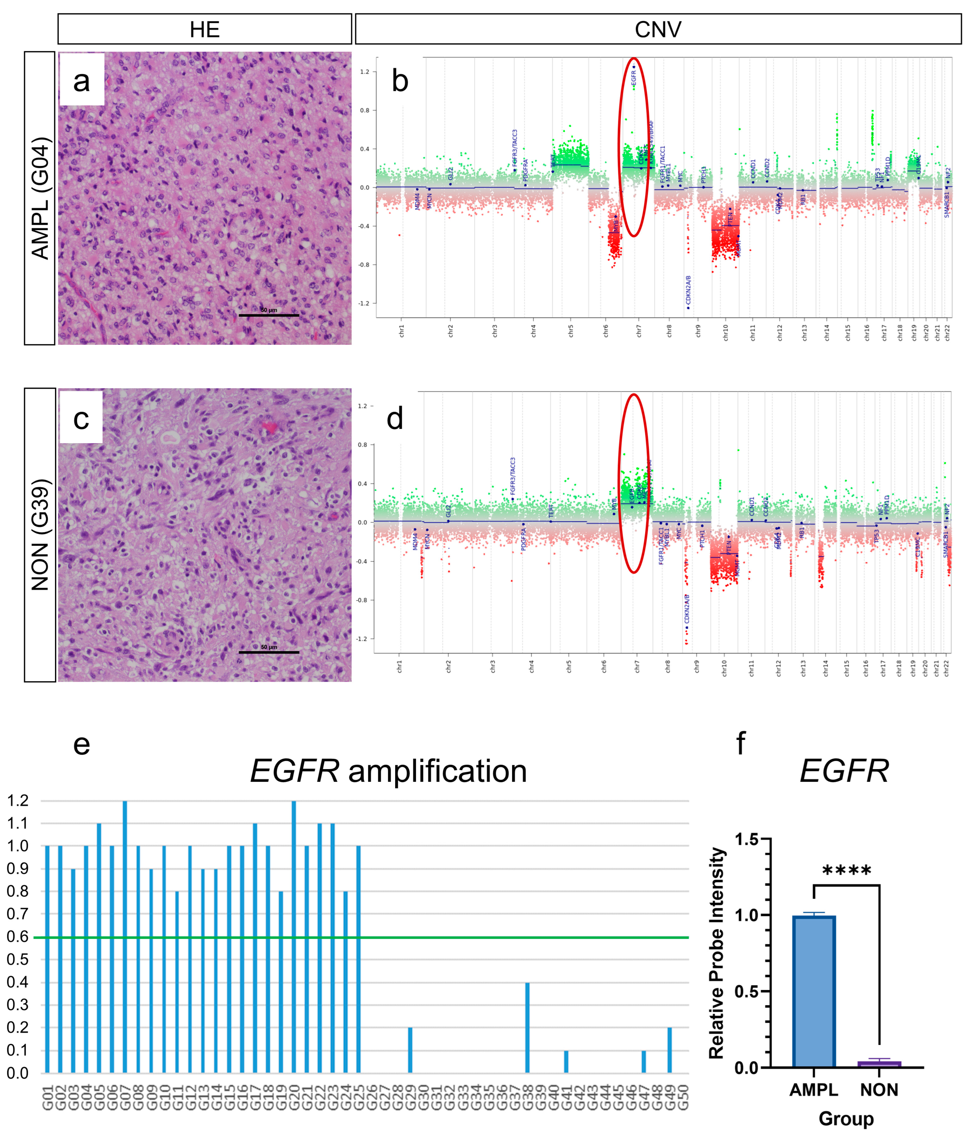 Cancers 15 03525 g001