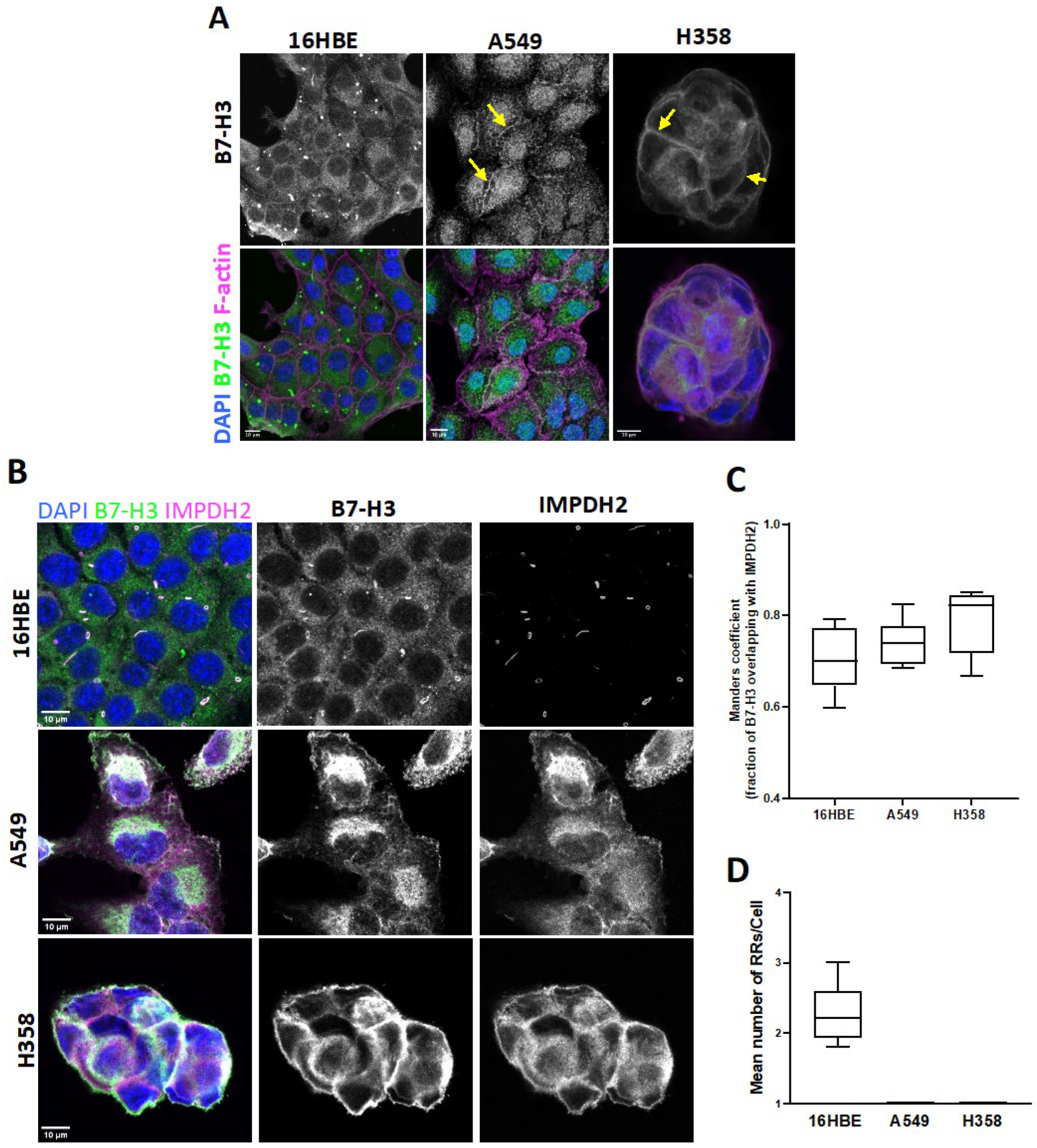 Cancers 15 03530 g001