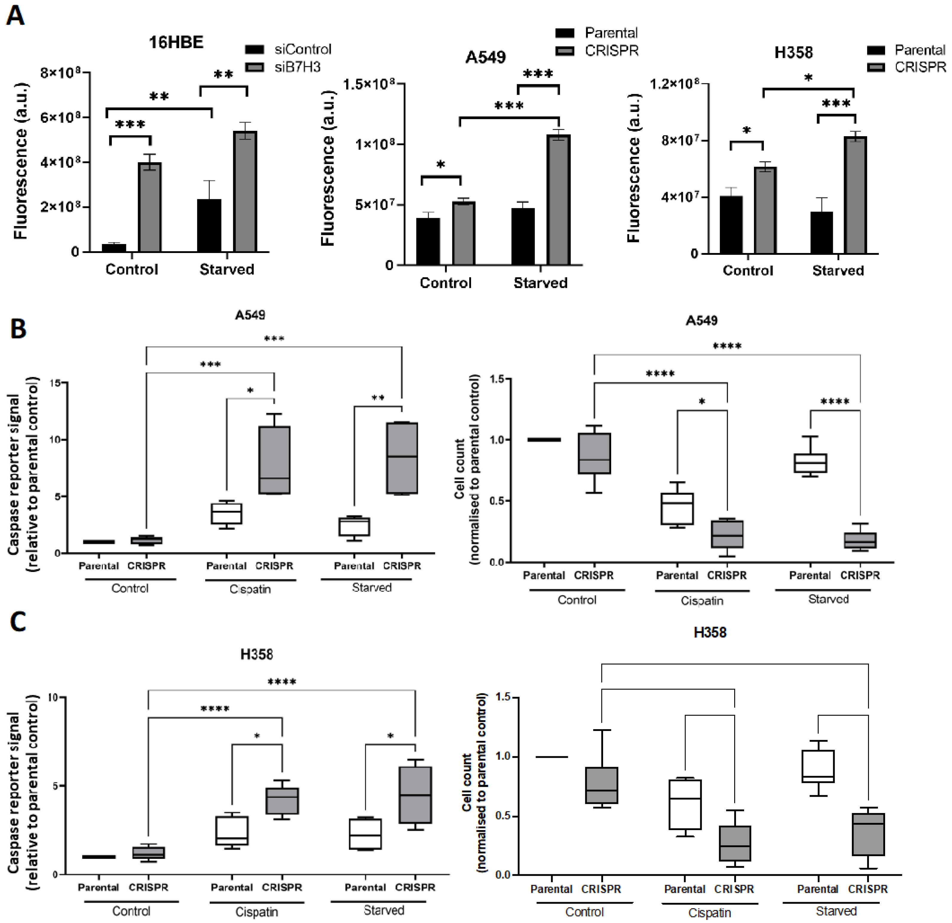 Cancers 15 03530 g005