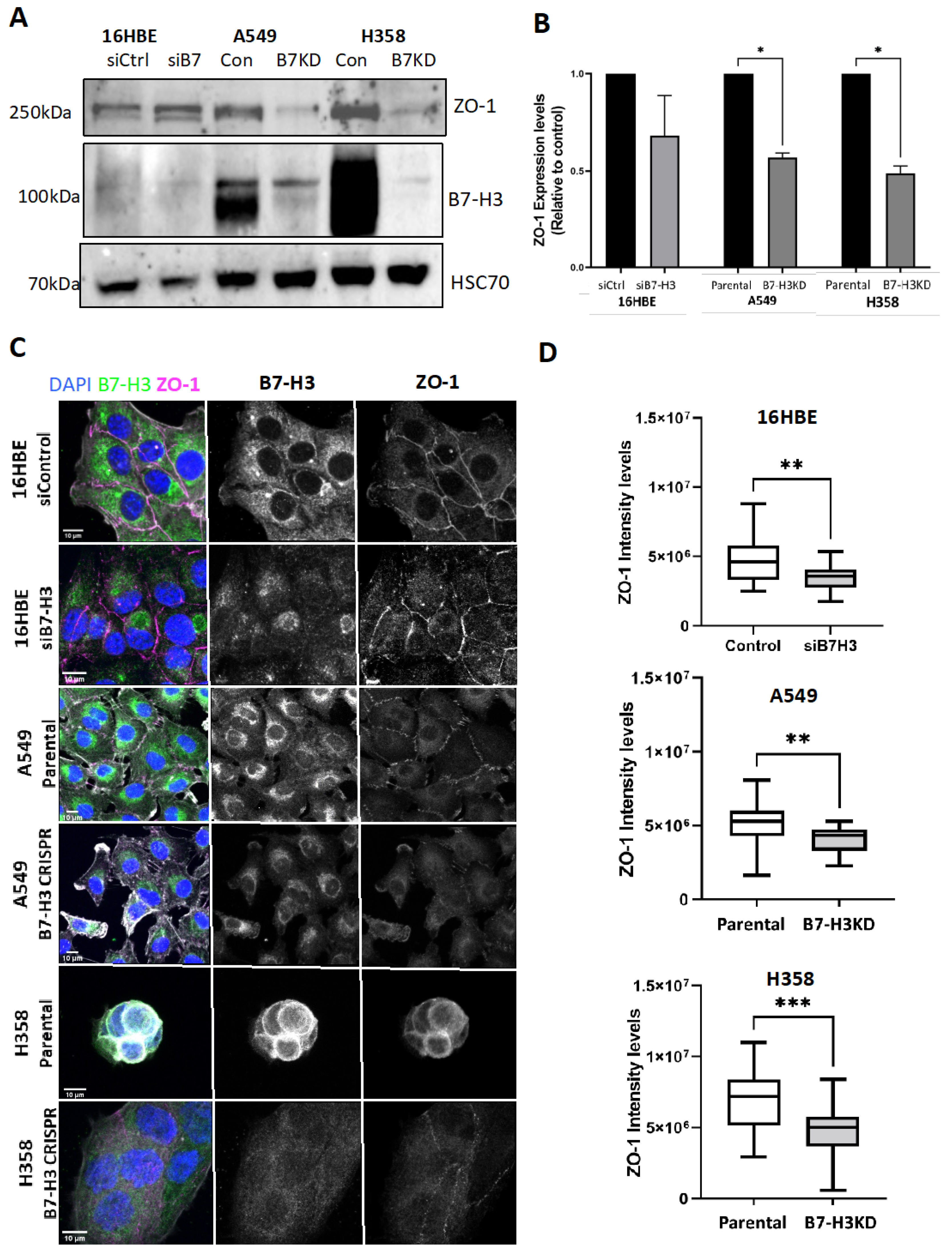 Cancers 15 03530 g008