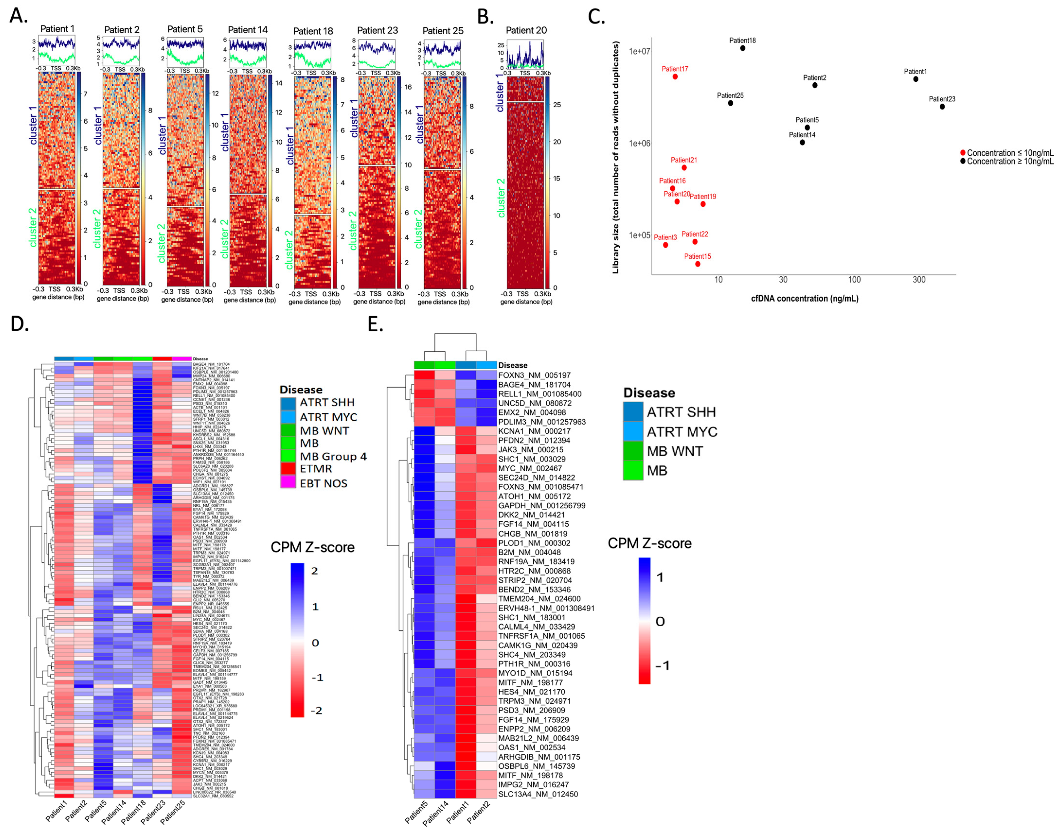 Cancers 15 03532 g005 Cancers 15 03532 g005