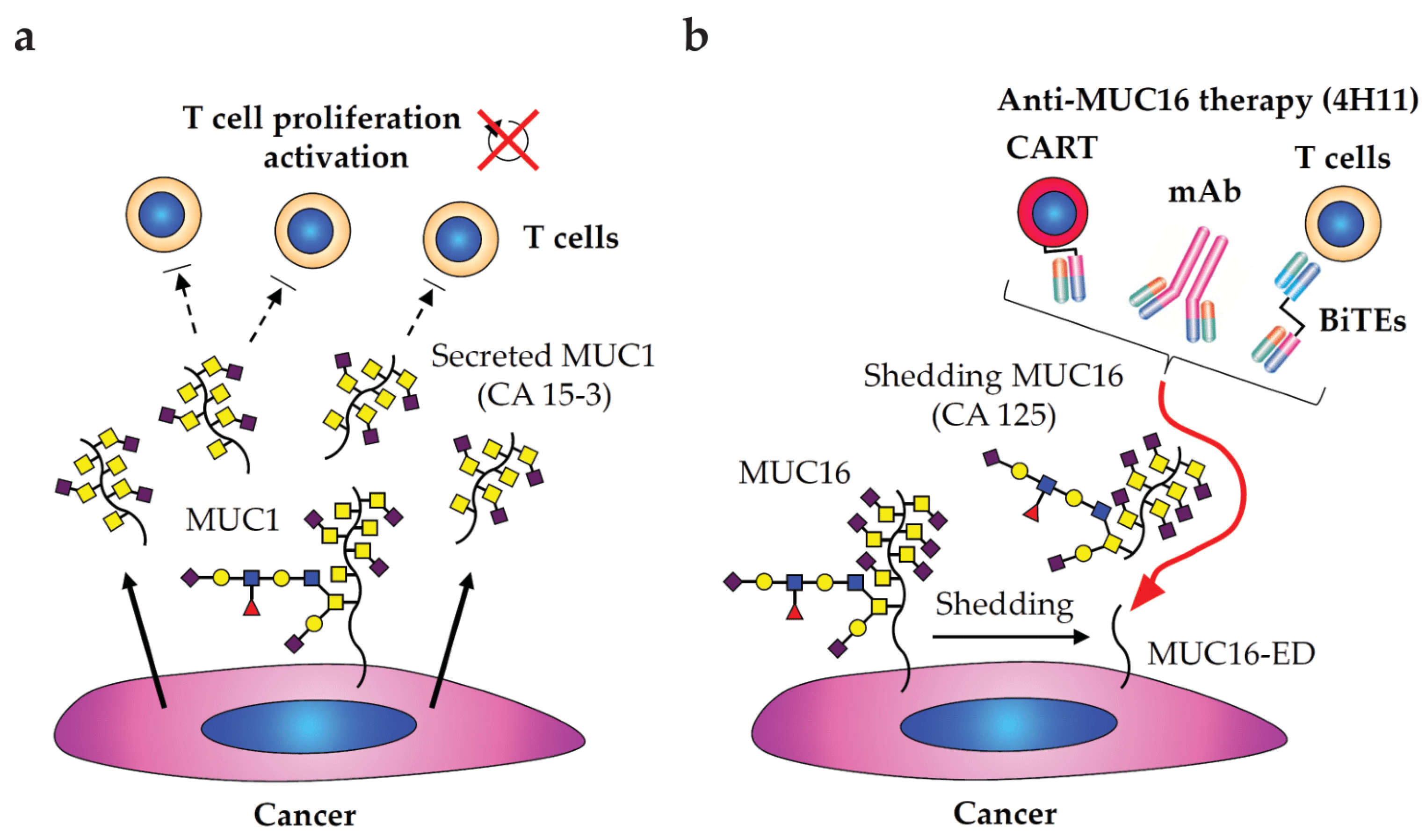 Cancers 15 03536 g003