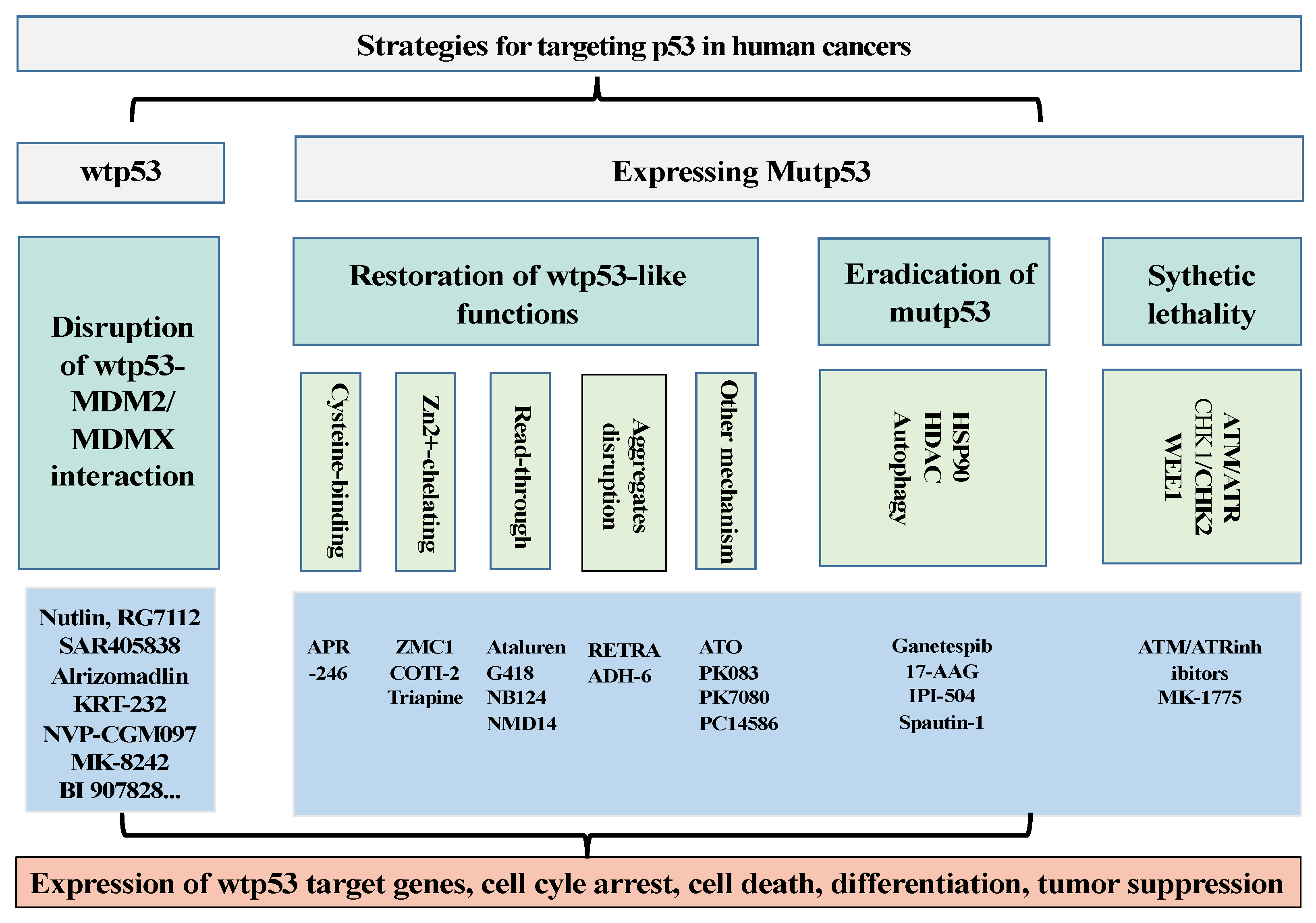 Cancers 15 03560 g001