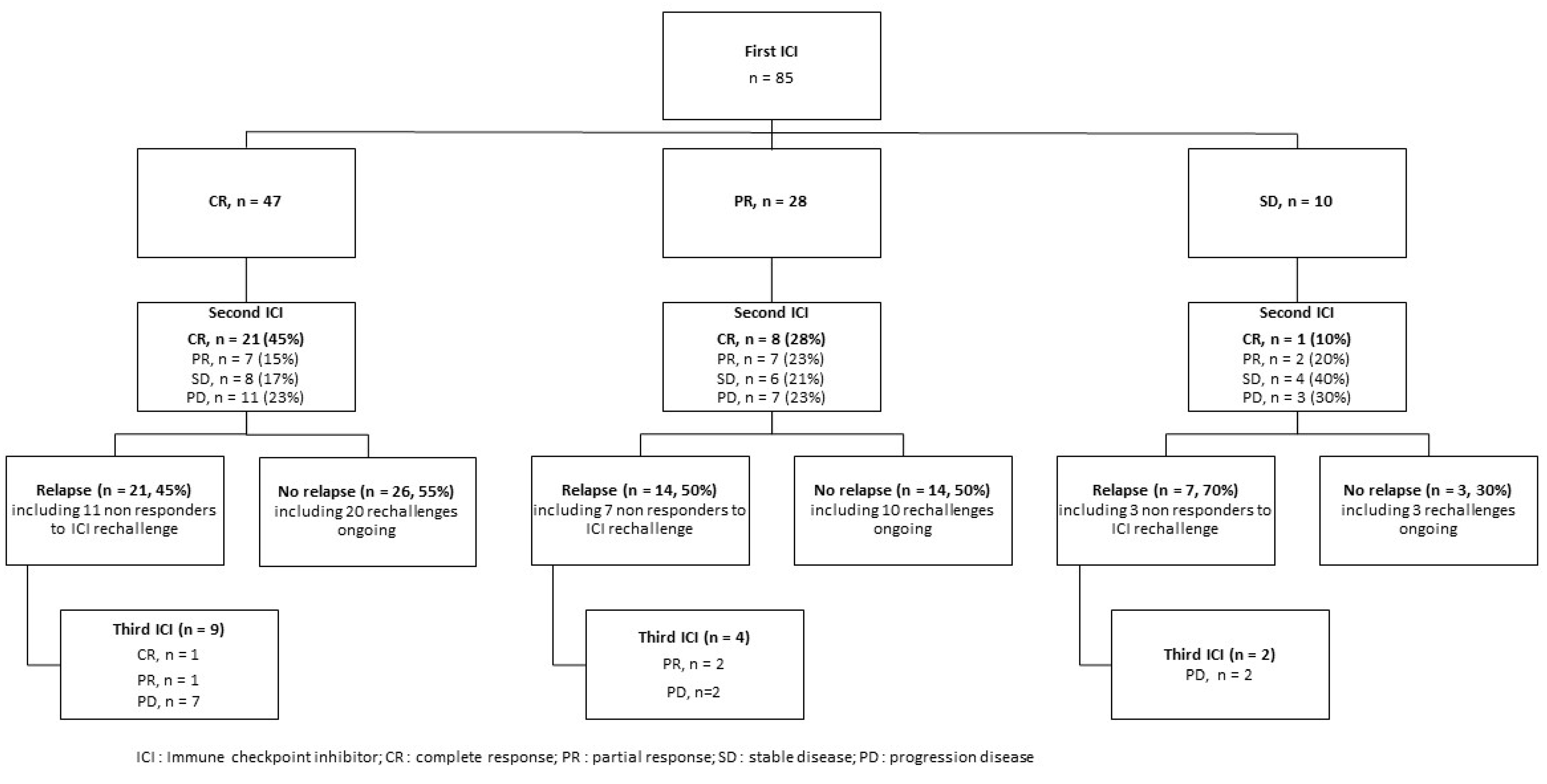Cancers 15 03564 g001