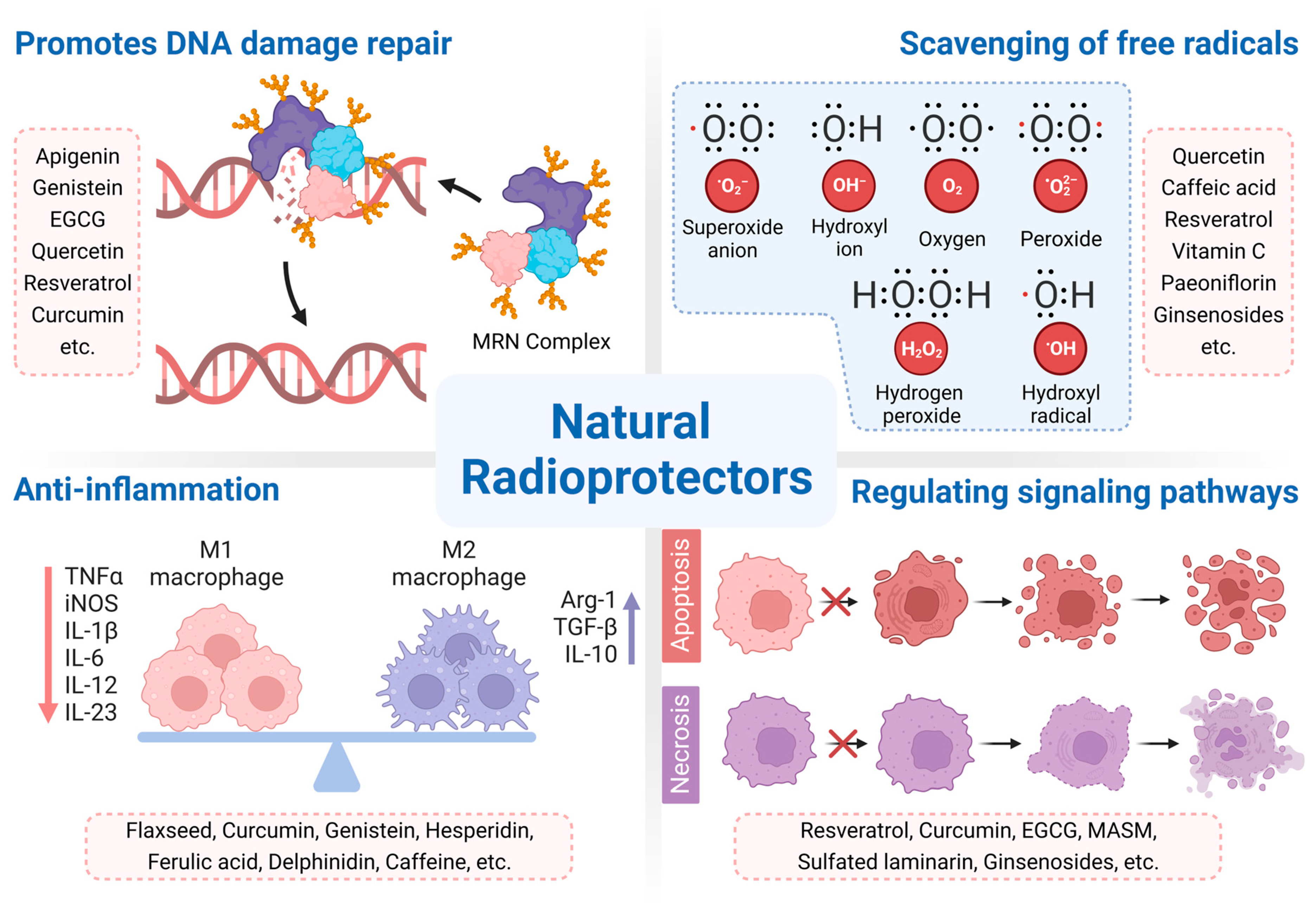 Cancers 15 03585 g002