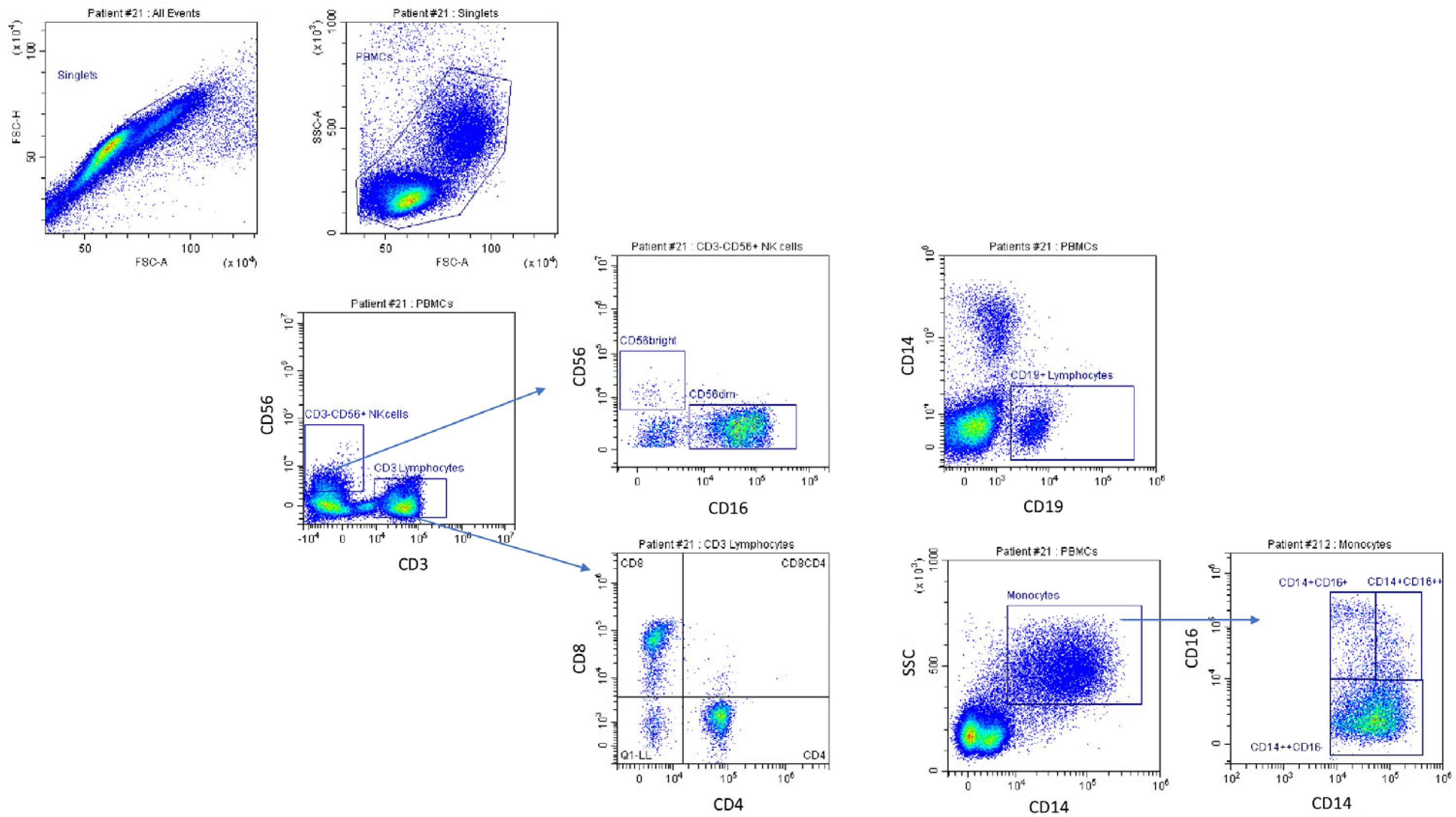 Cancers 15 03592 g001