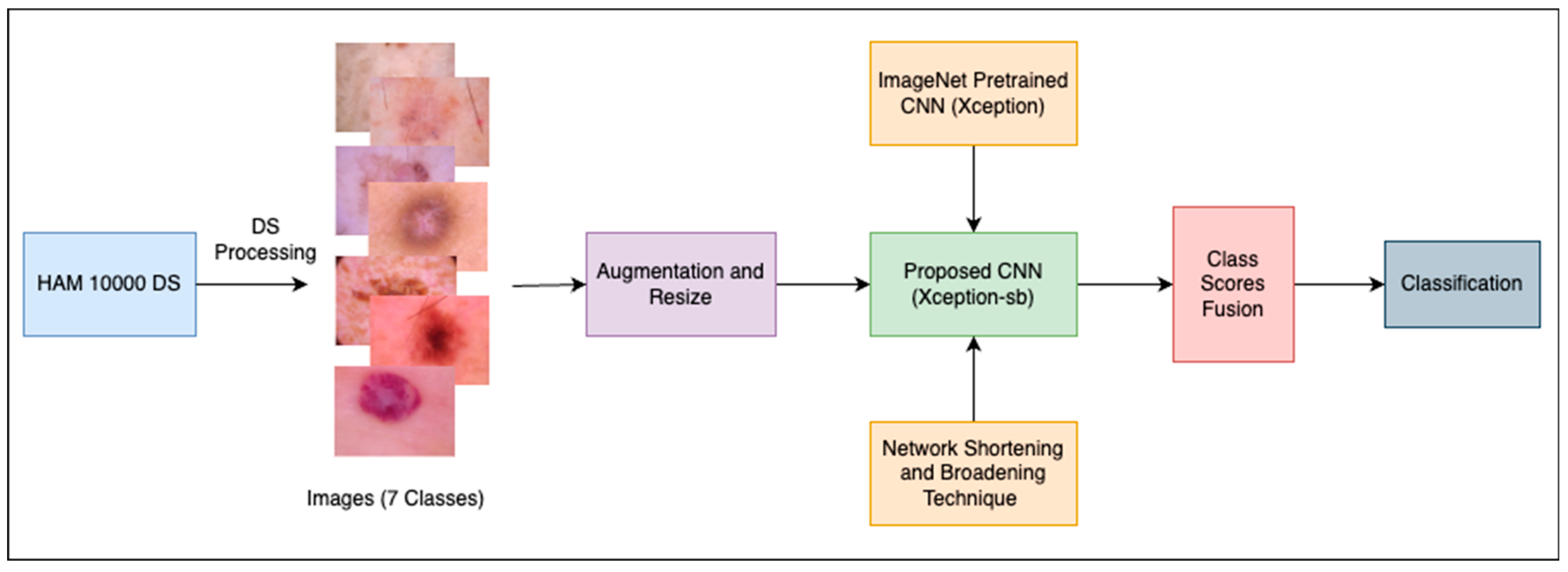 Cancers 15 03604 g001