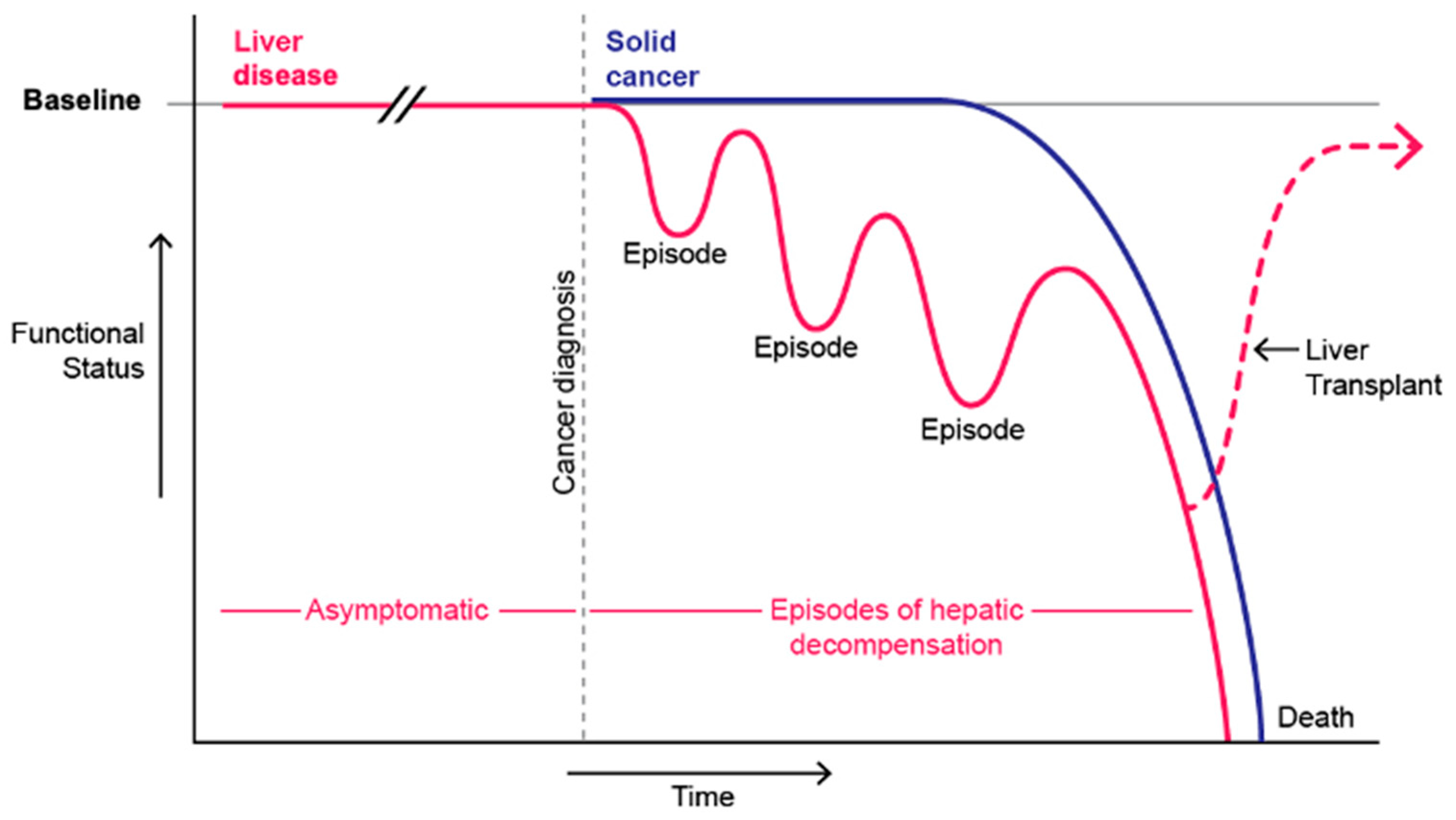 Cancers 15 03617 g001