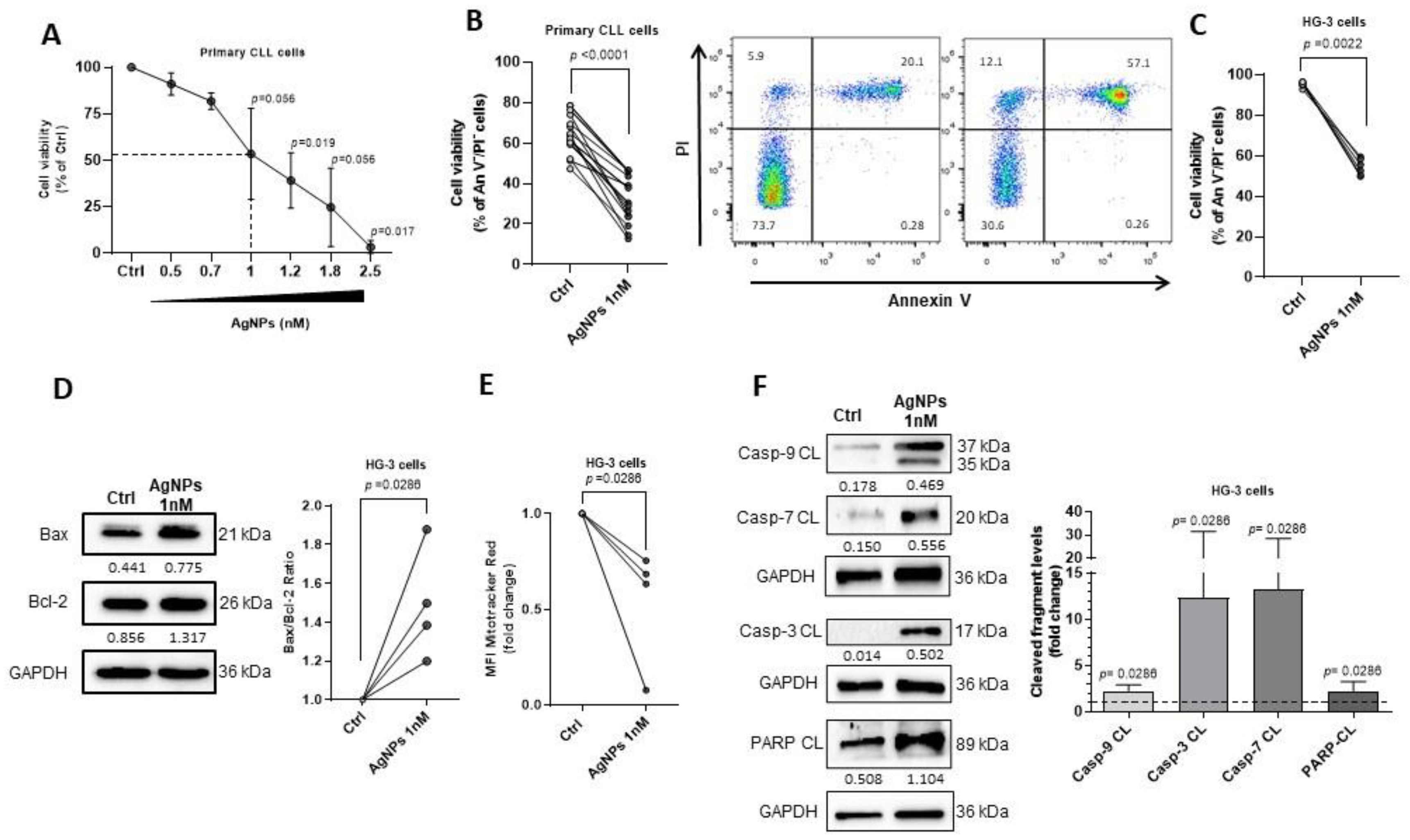 Cancers 15 03618 g001