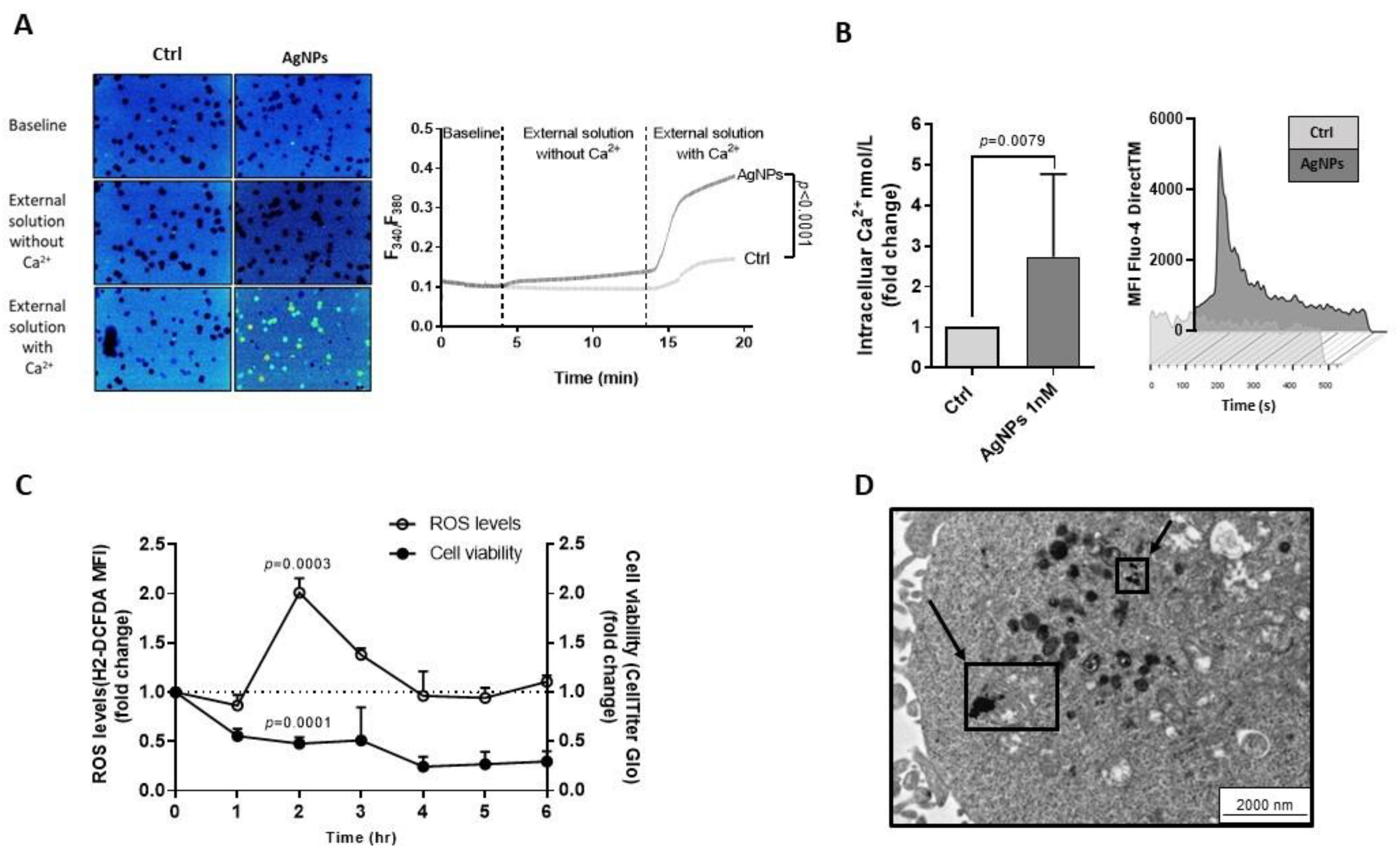 Cancers 15 03618 g003