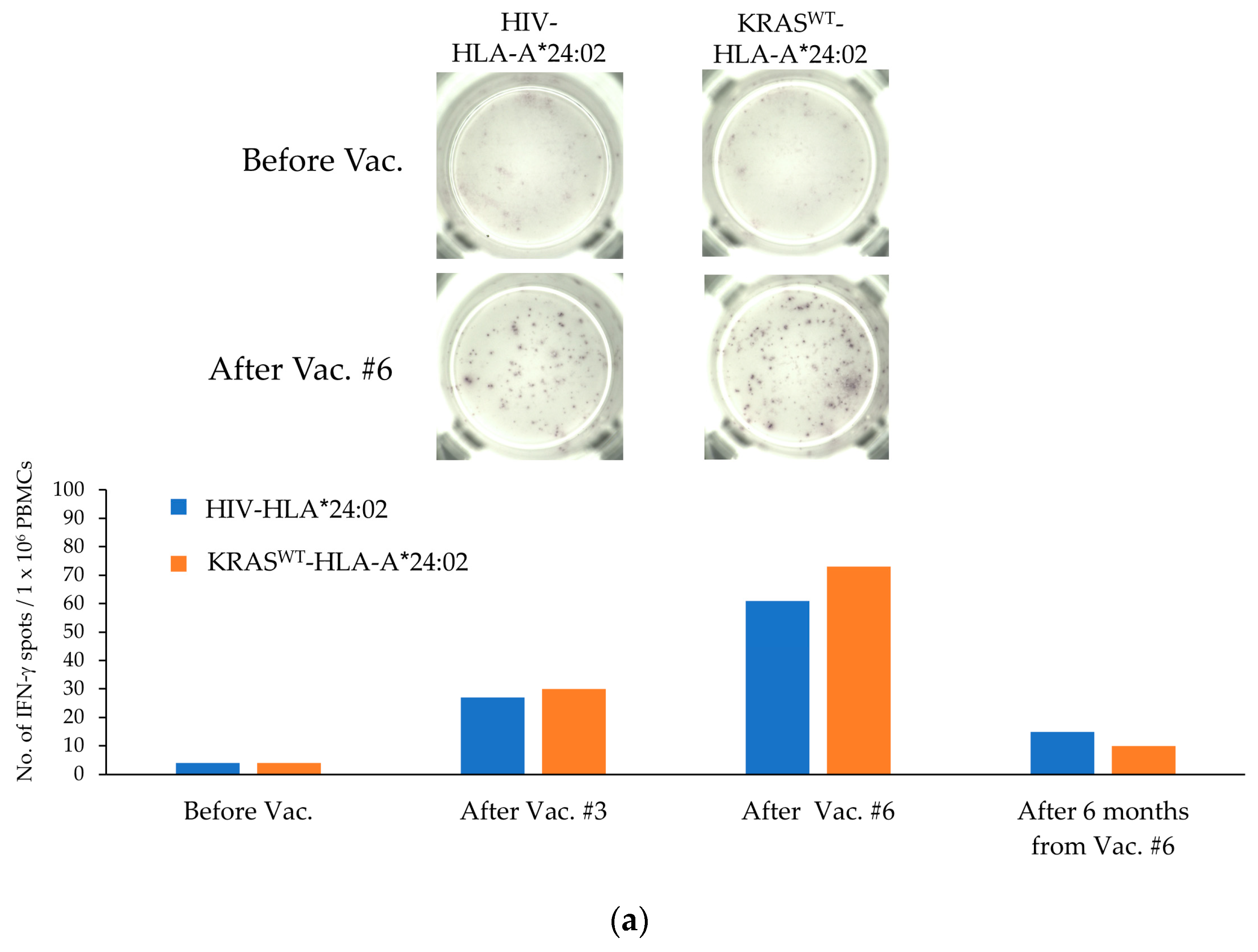 Cancers 15 03627 g001a