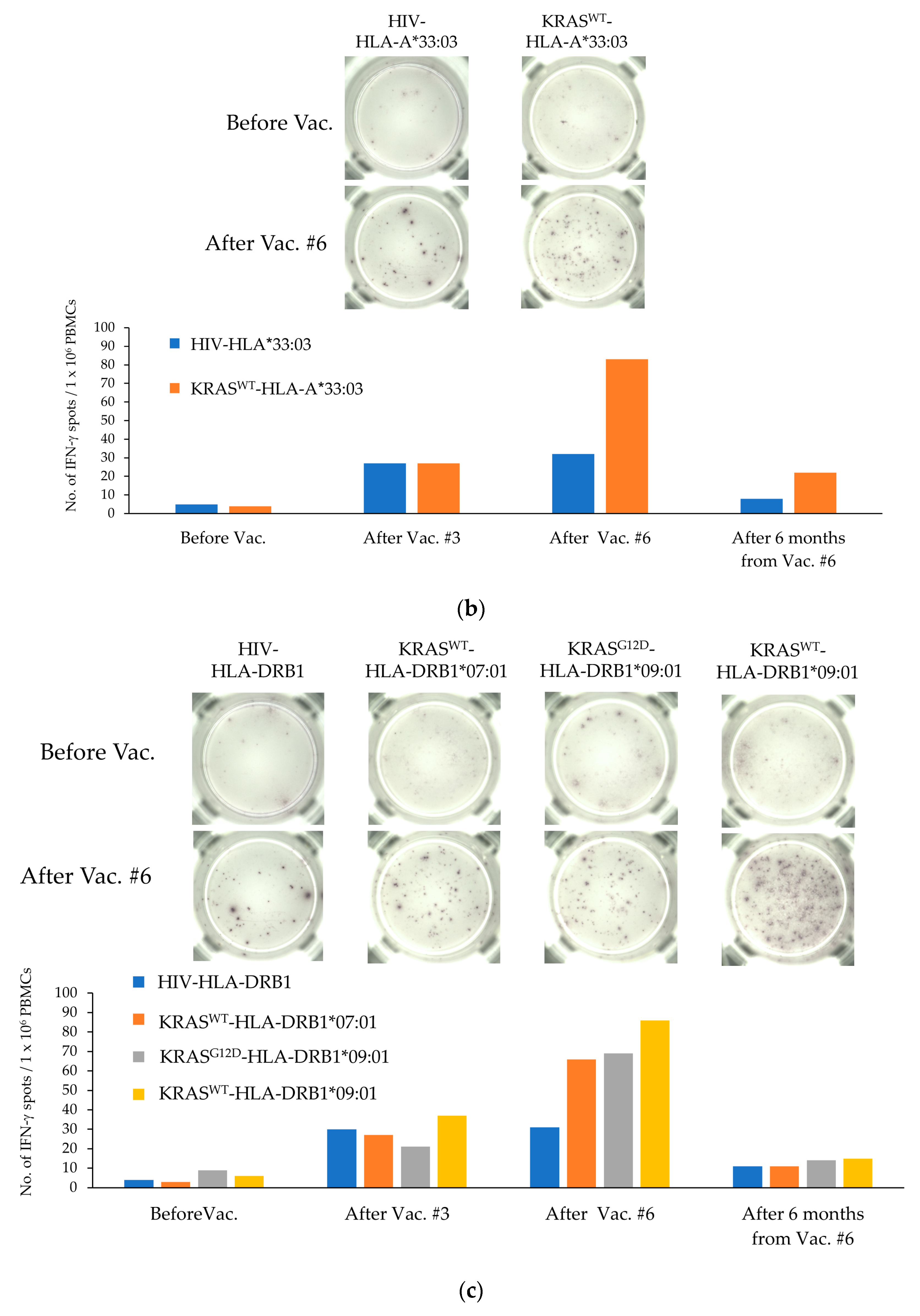 Cancers 15 03627 g001b