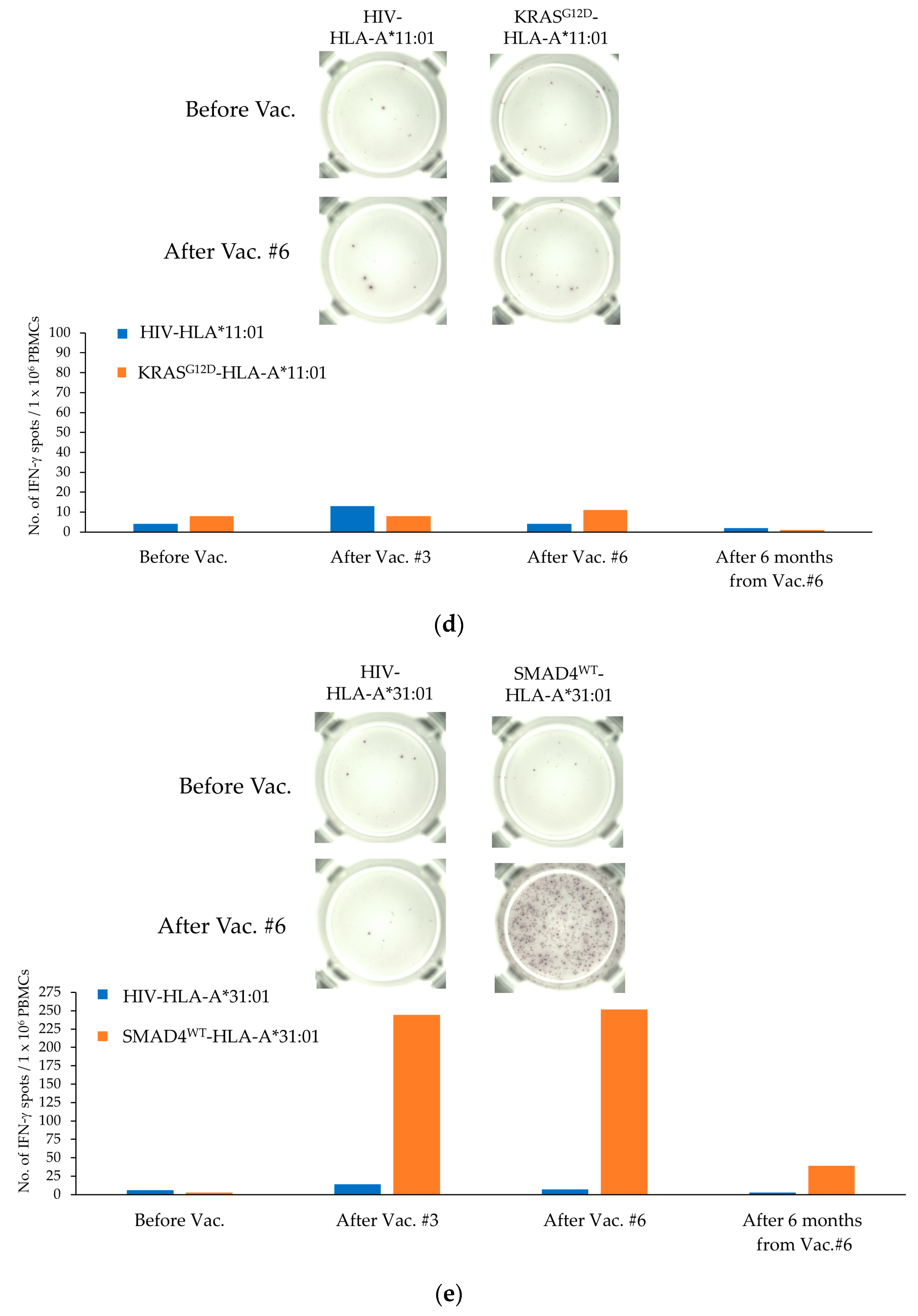 Cancers 15 03627 g001c