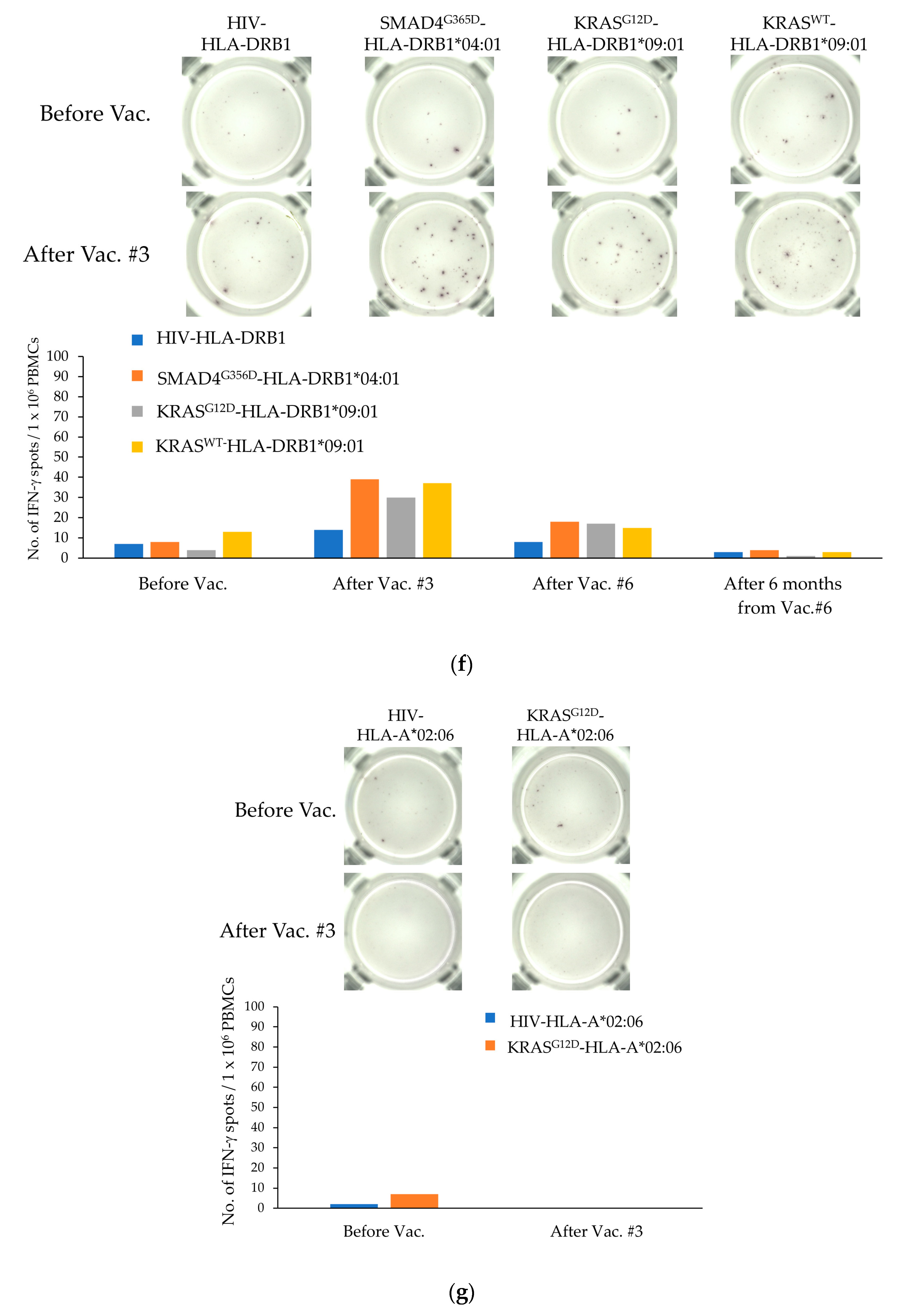 Cancers 15 03627 g001d