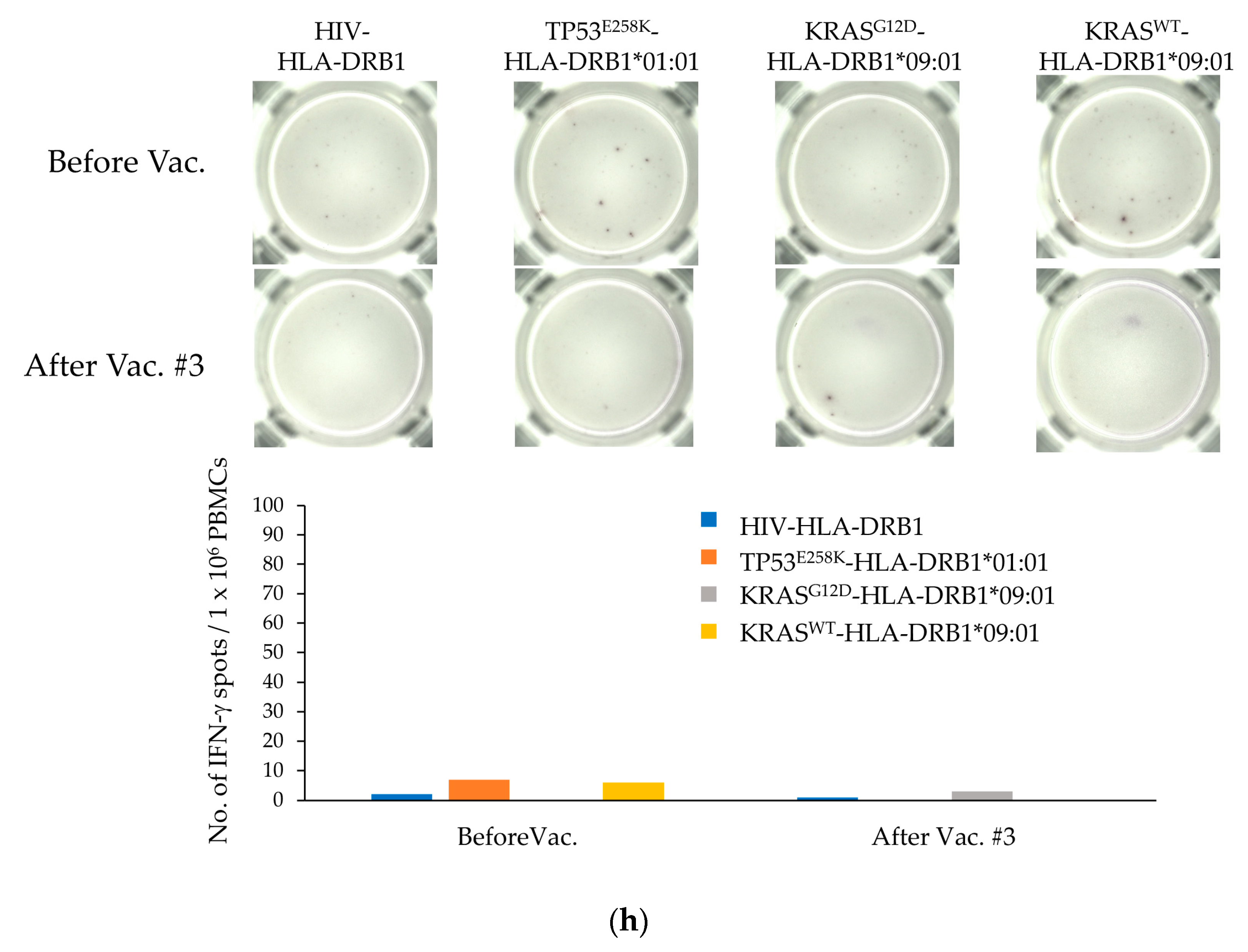 Cancers 15 03627 g001e