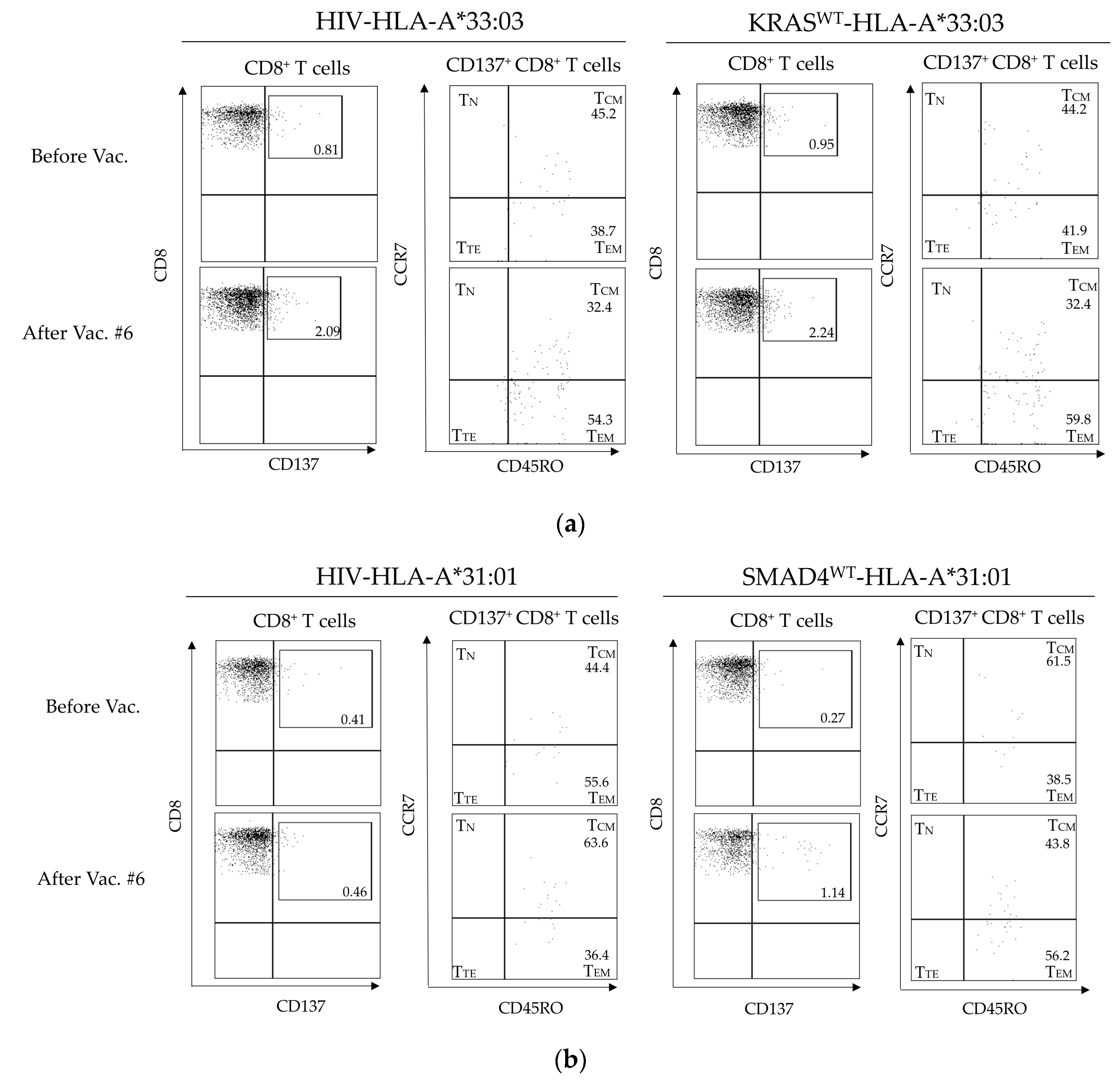 Cancers 15 03627 g002