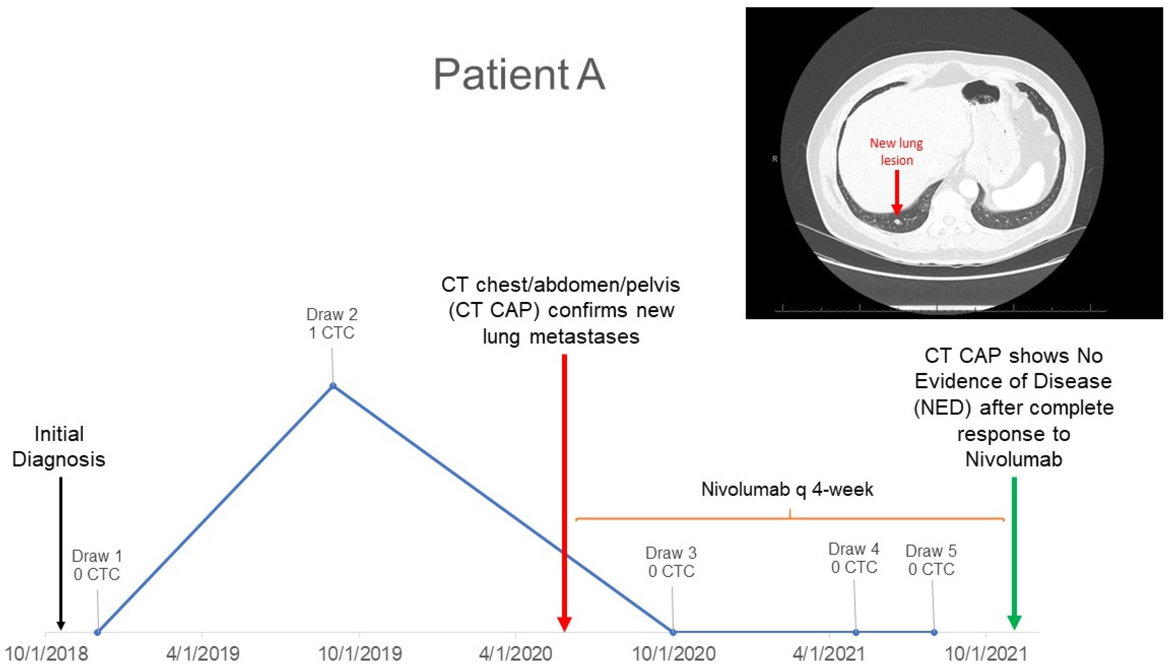Cancers 15 03630 g003 Cancers 15 03630 g003
