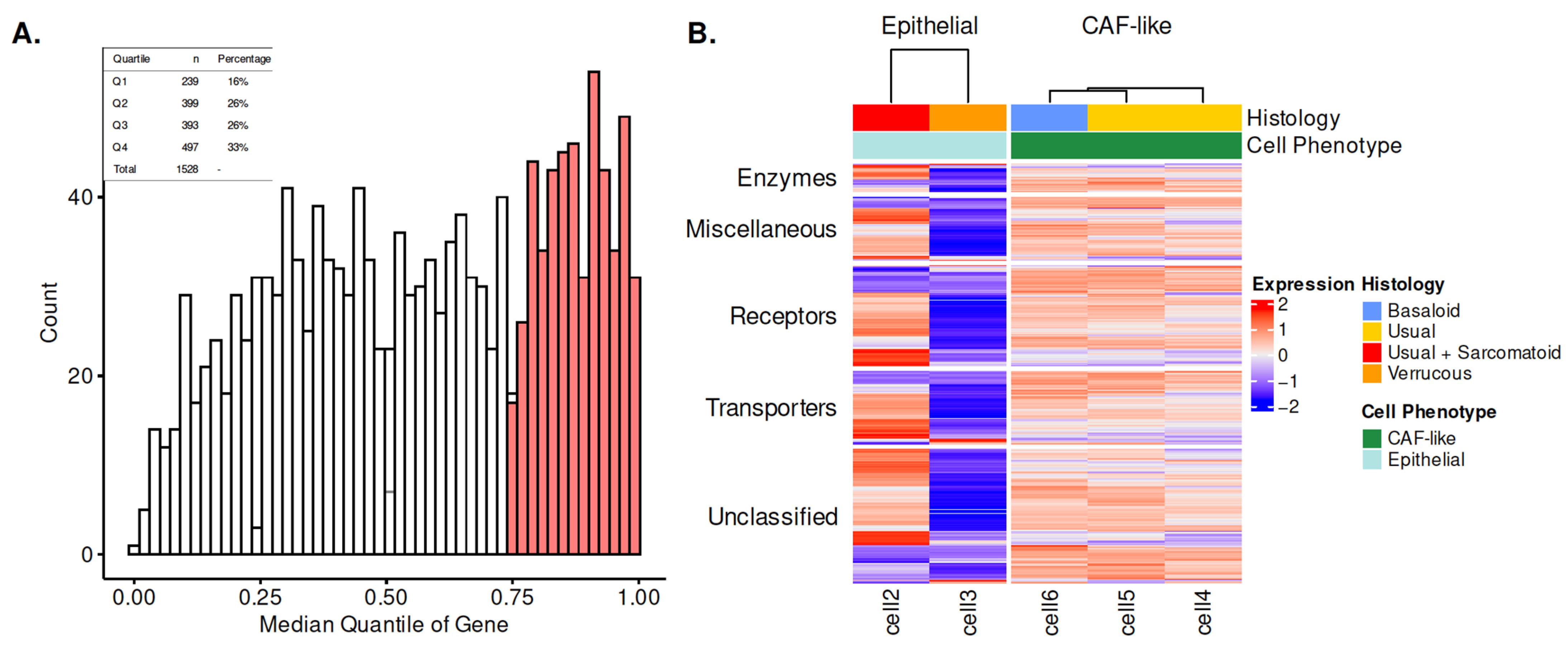 Cancers 15 03636 g001