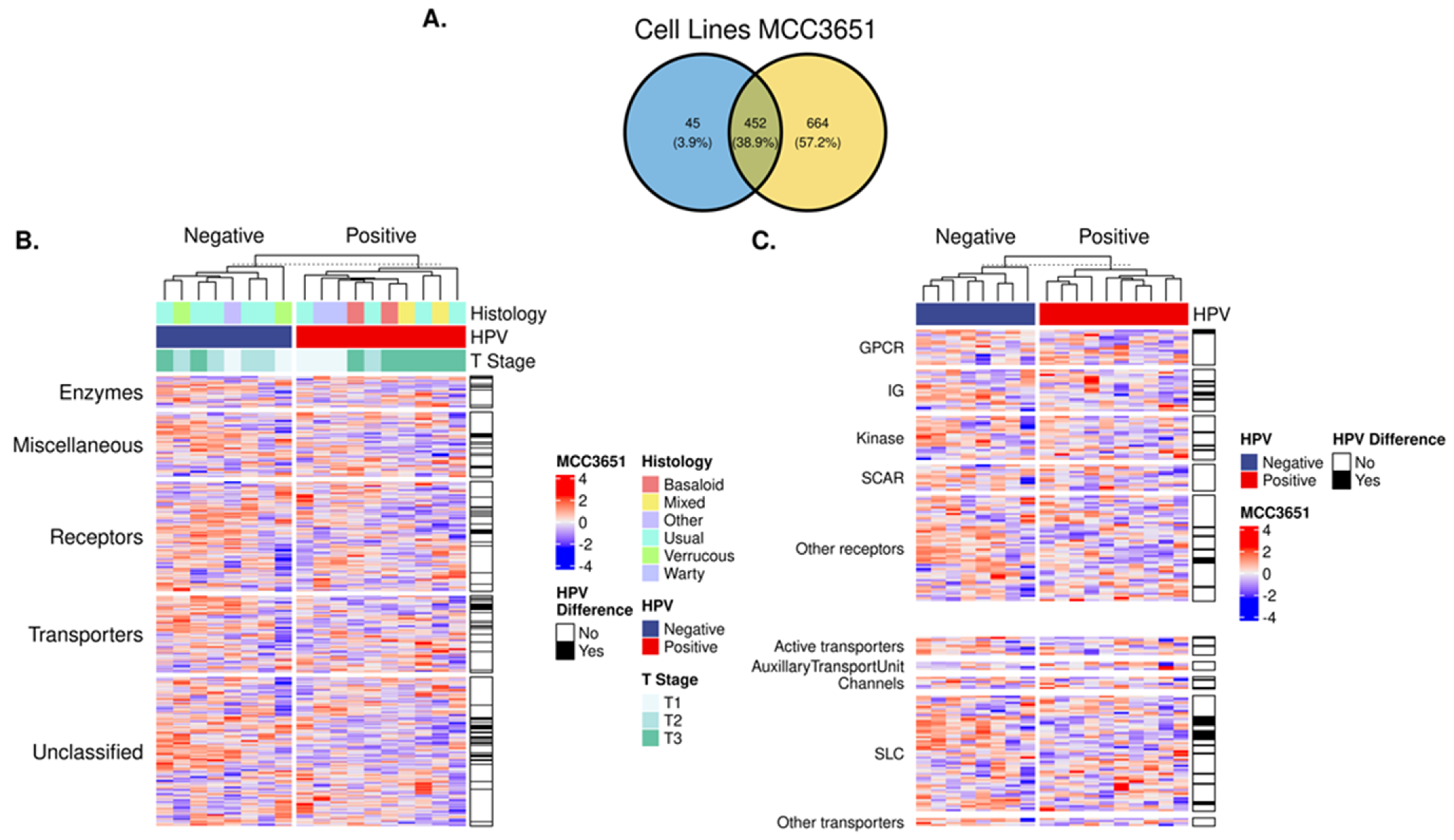 Cancers 15 03636 g002