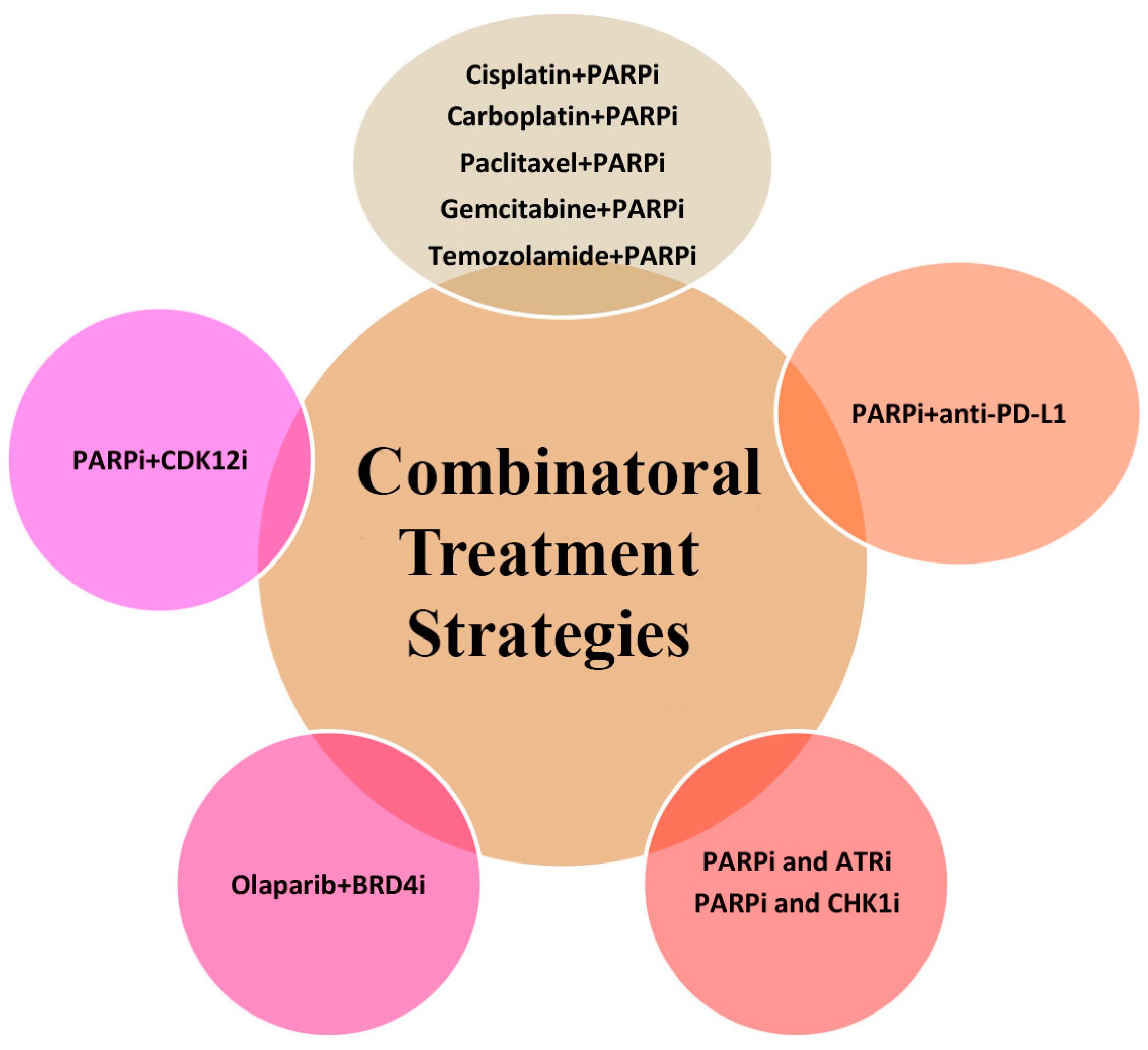 Cancers 15 03642 g003