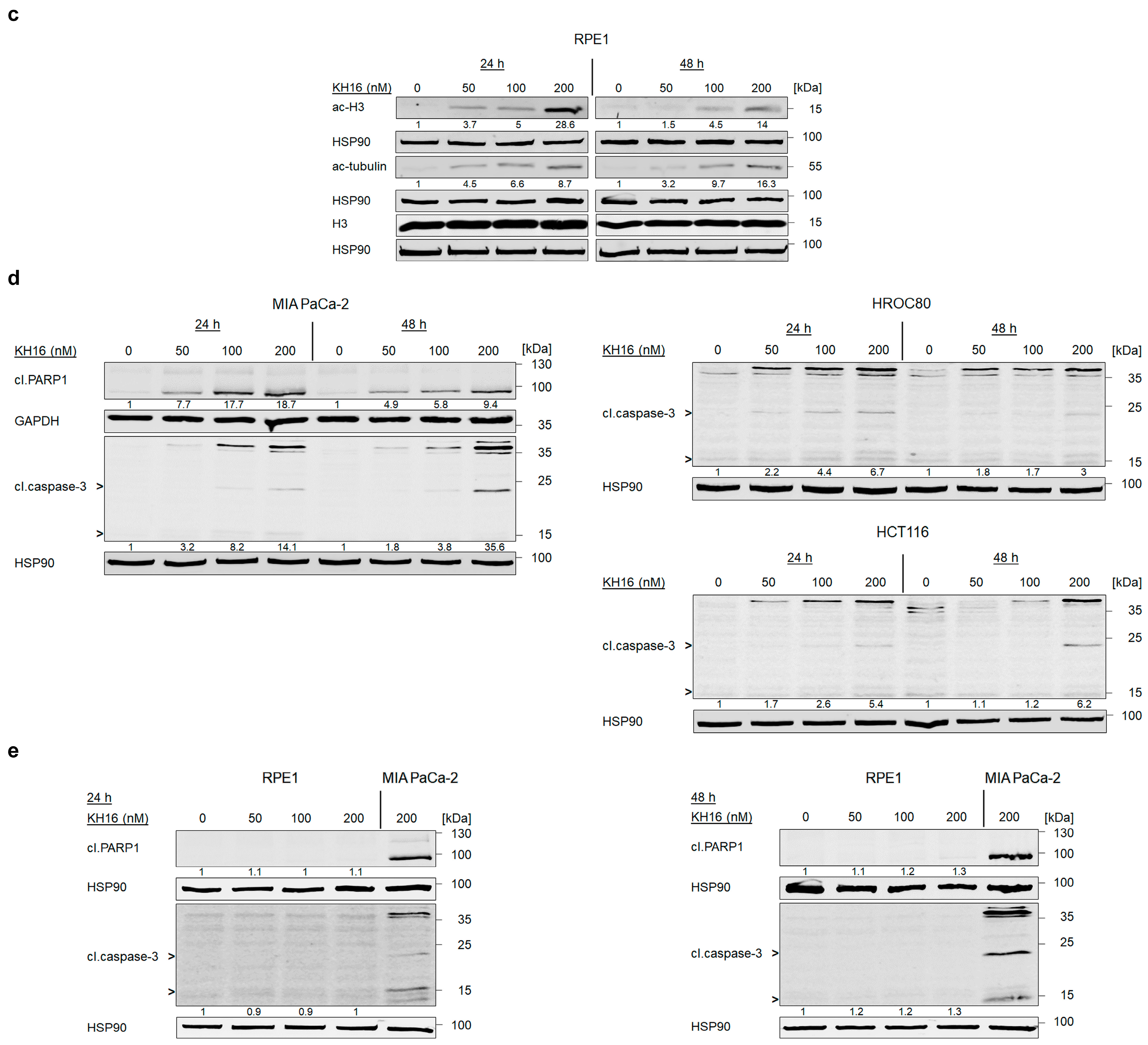 Cancers 15 03650 g002b