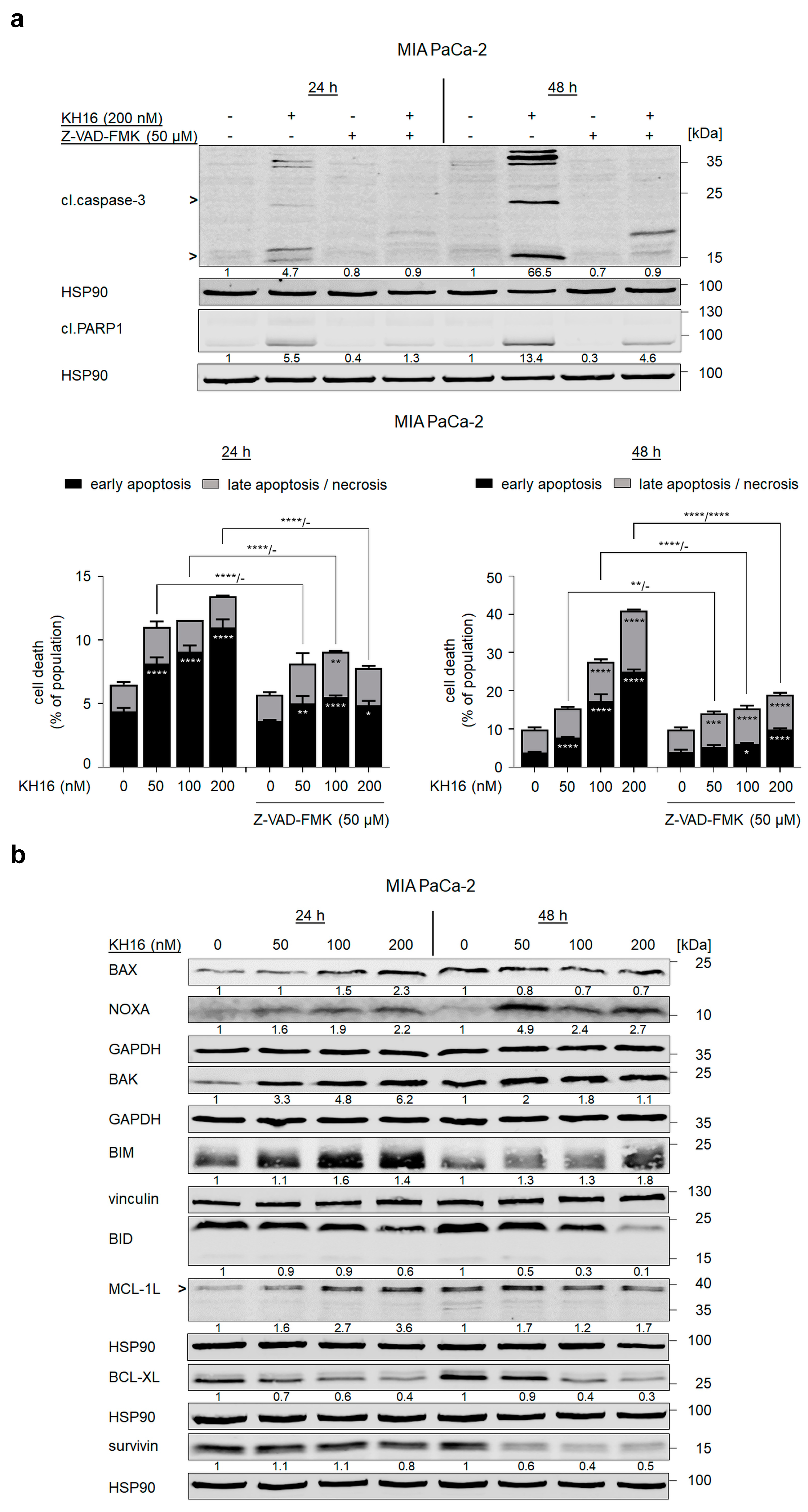 Cancers 15 03650 g003