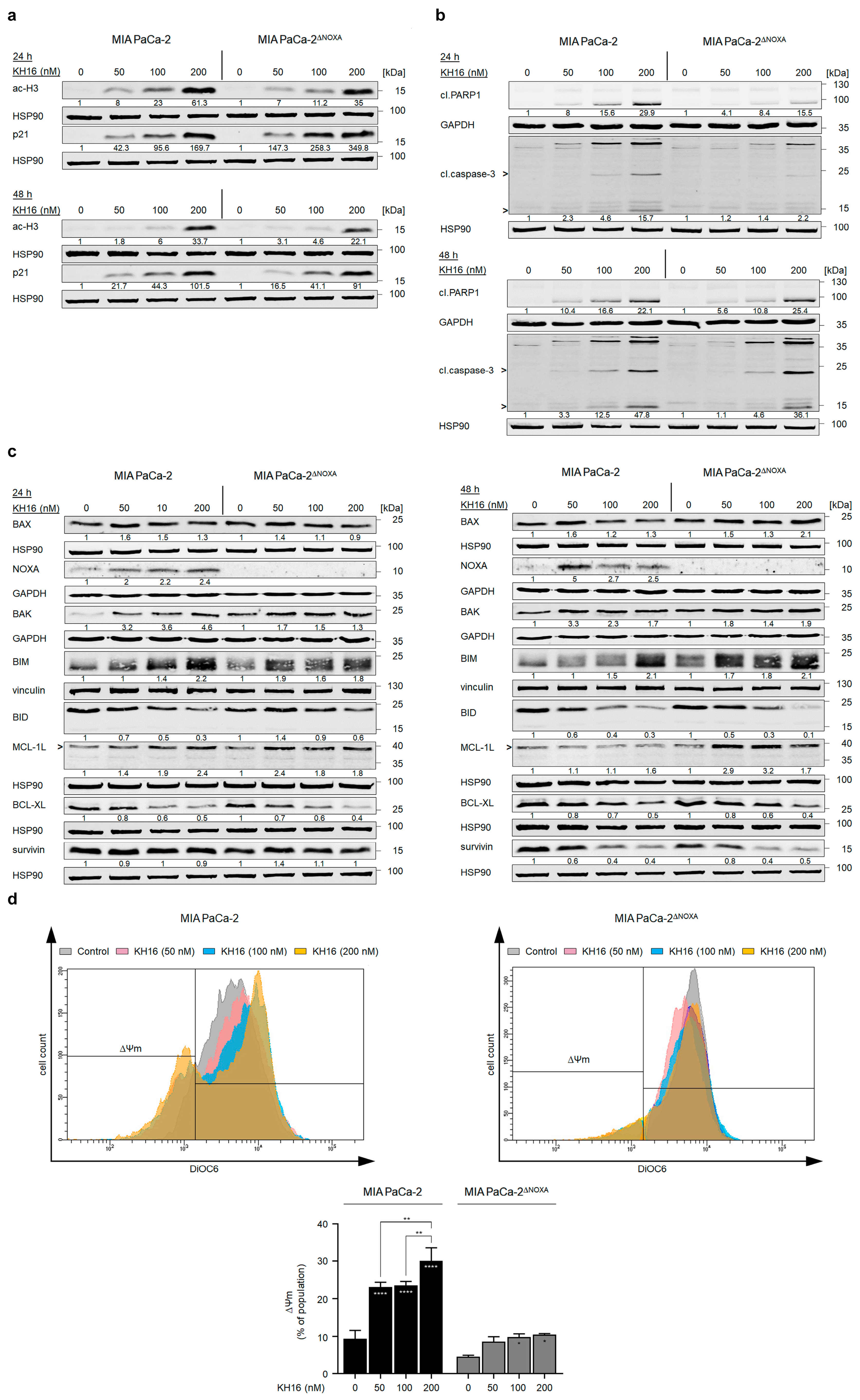Cancers 15 03650 g004
