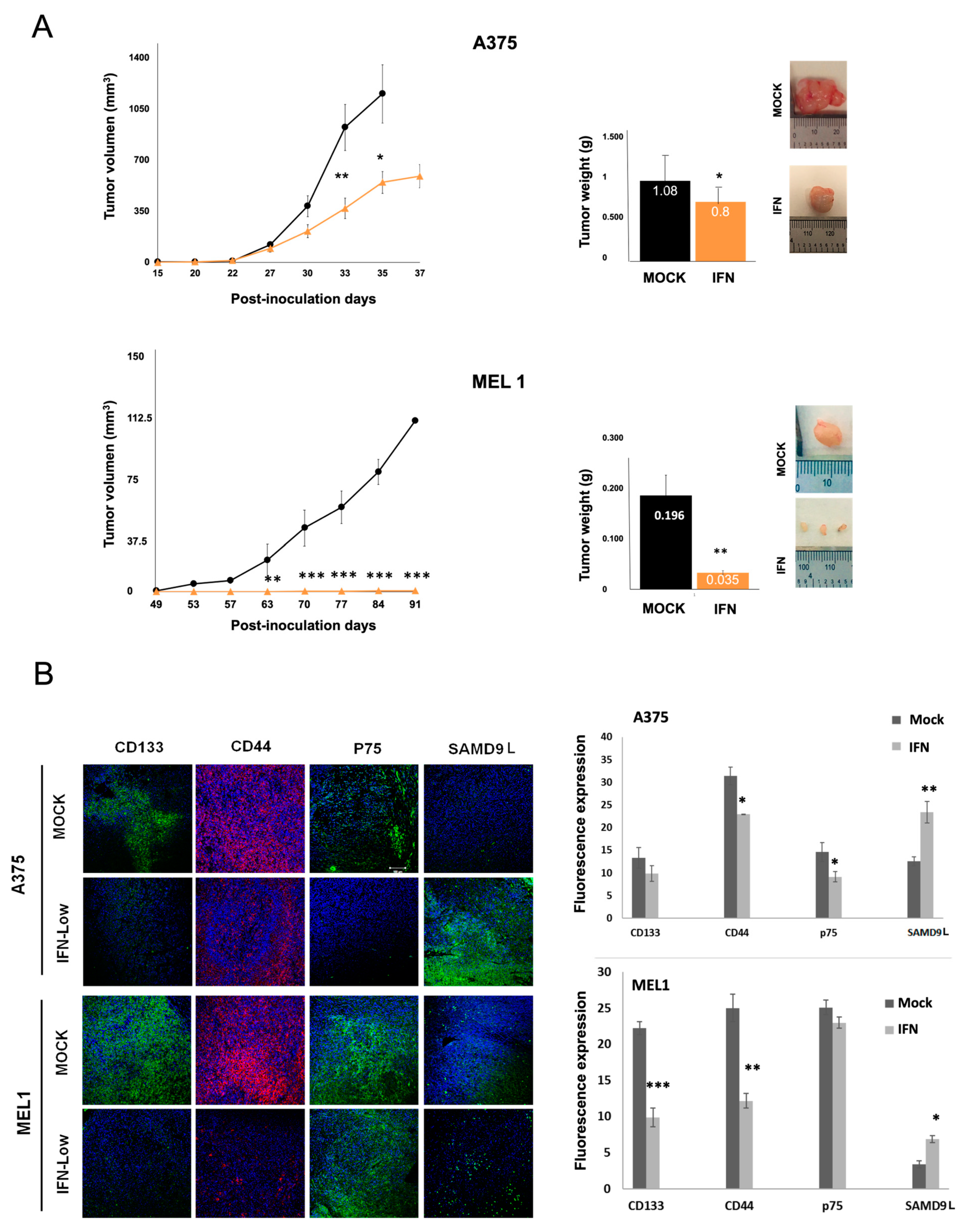 Cancers 15 03666 g004