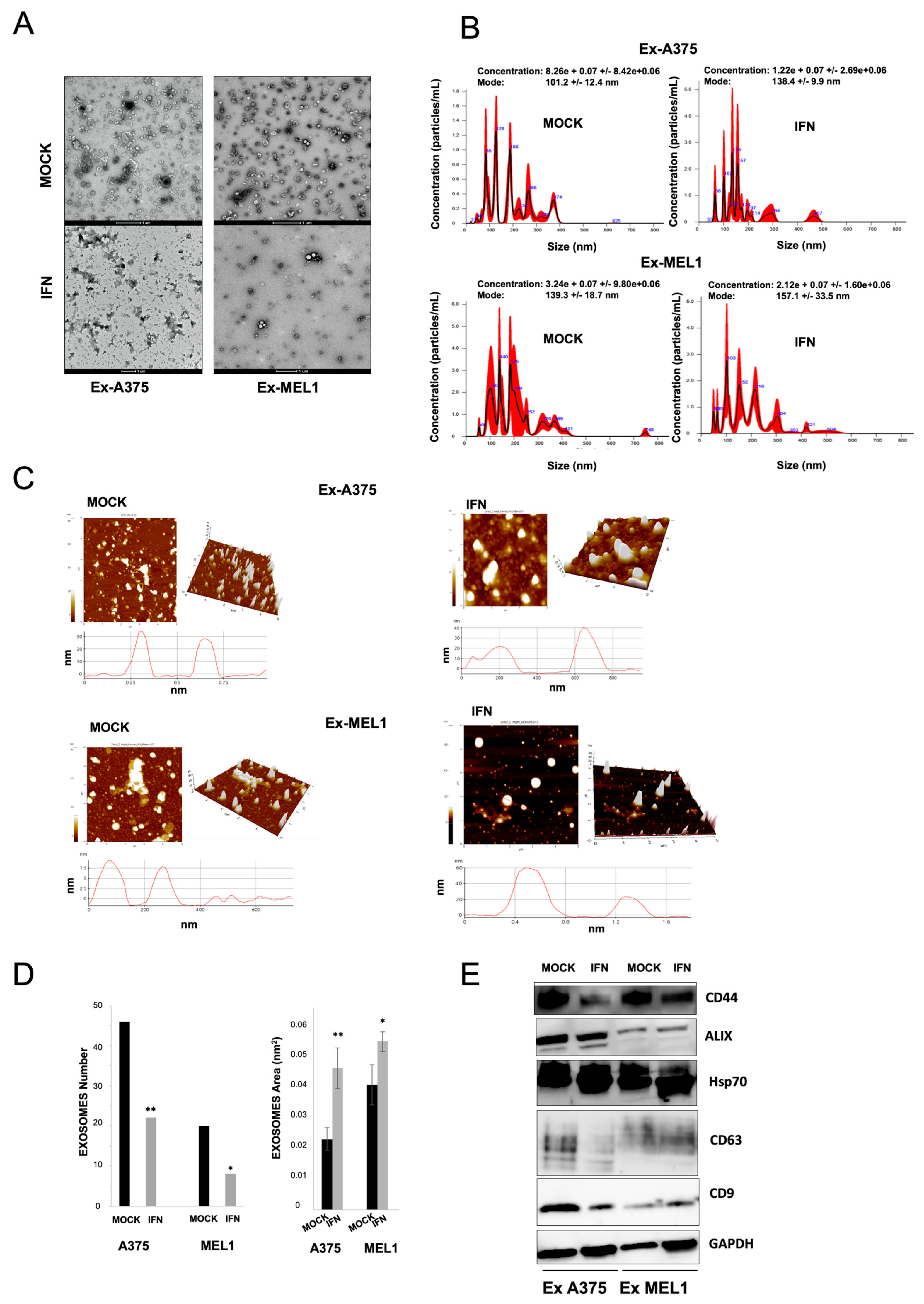 Cancers 15 03666 g005